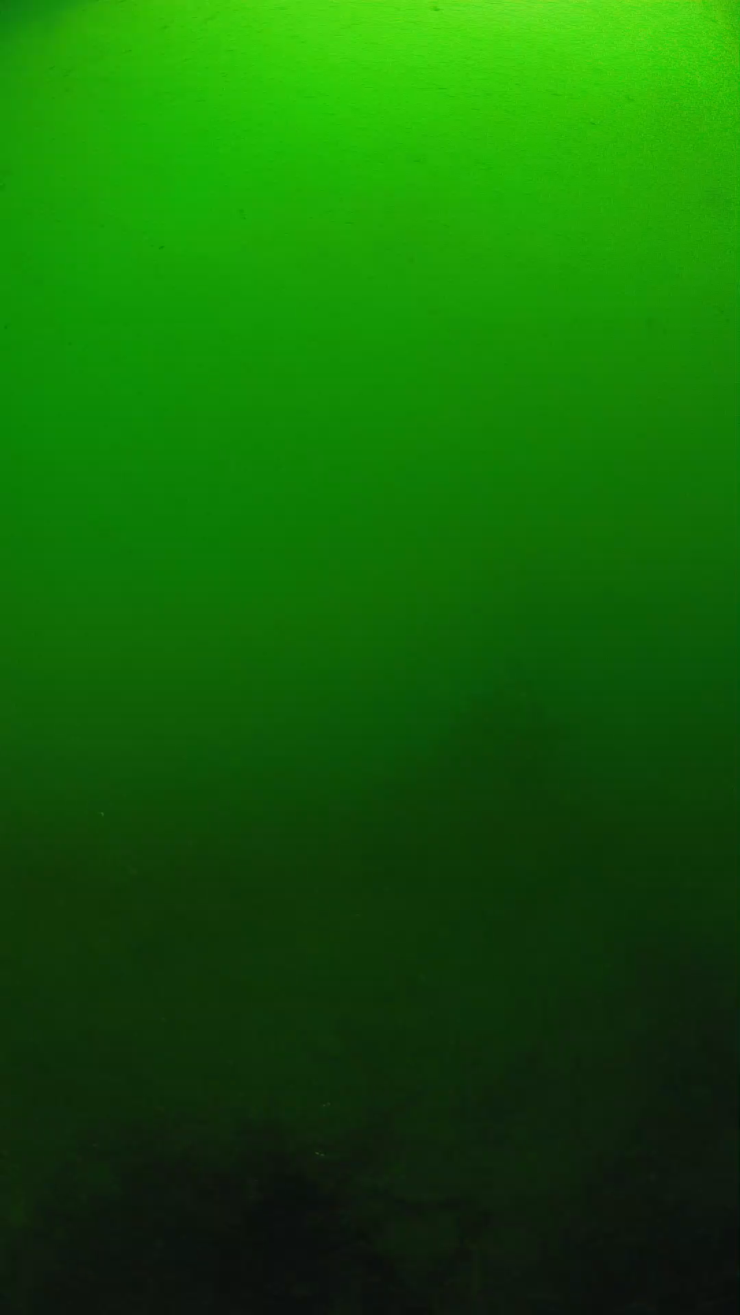 lander_ipcam_20250604100111.png