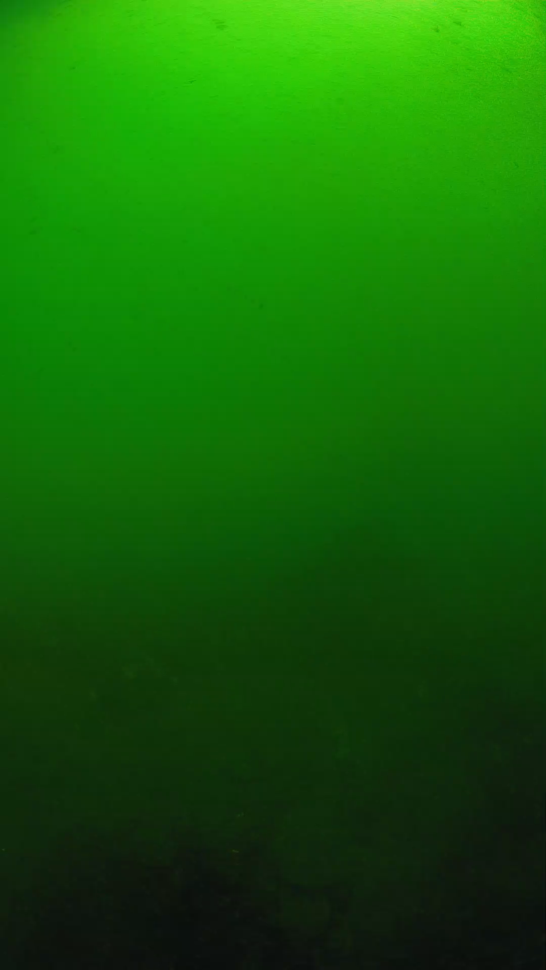 lander_ipcam_20250604100113.png