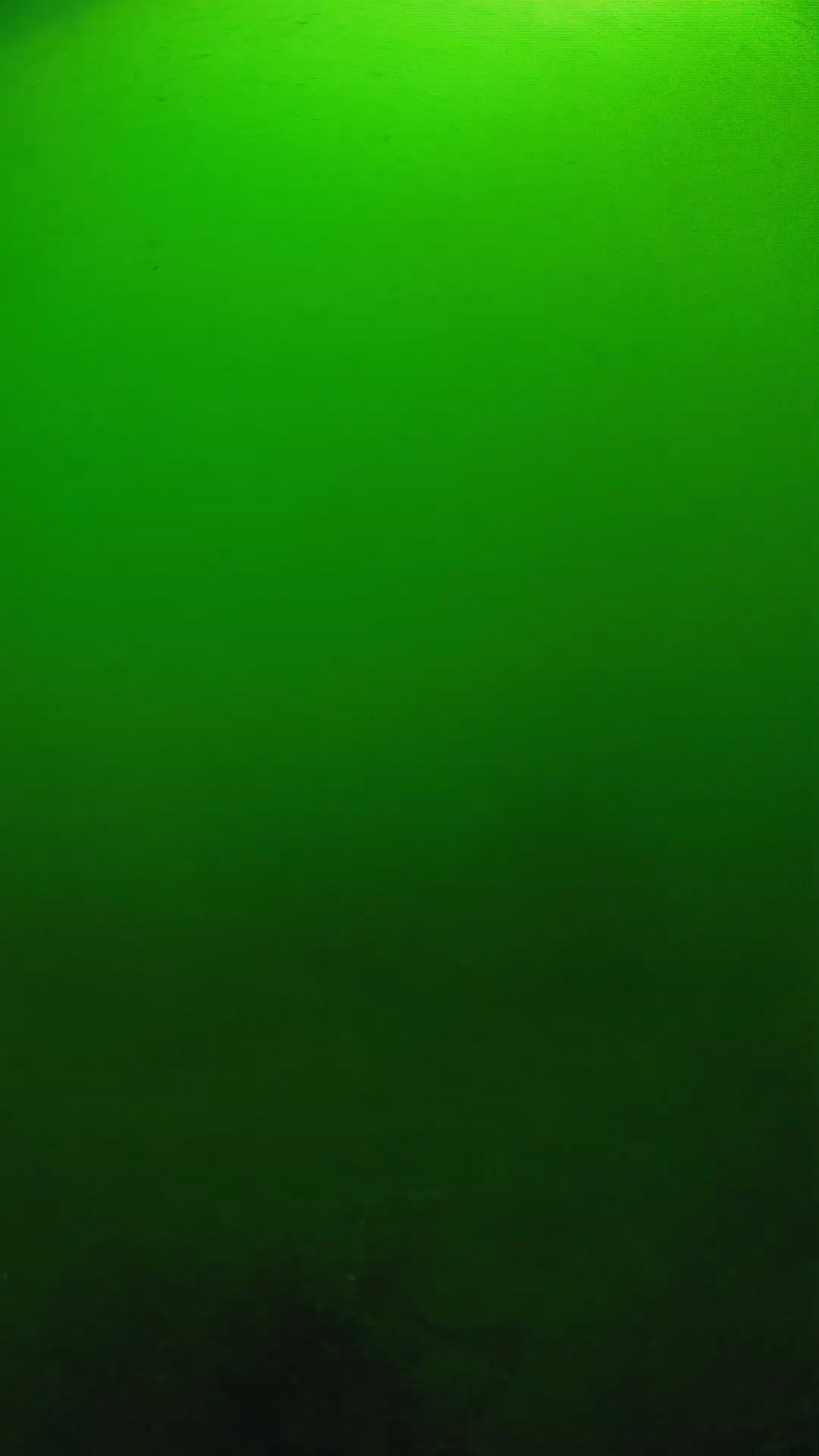 lander_ipcam_20250604100115.png