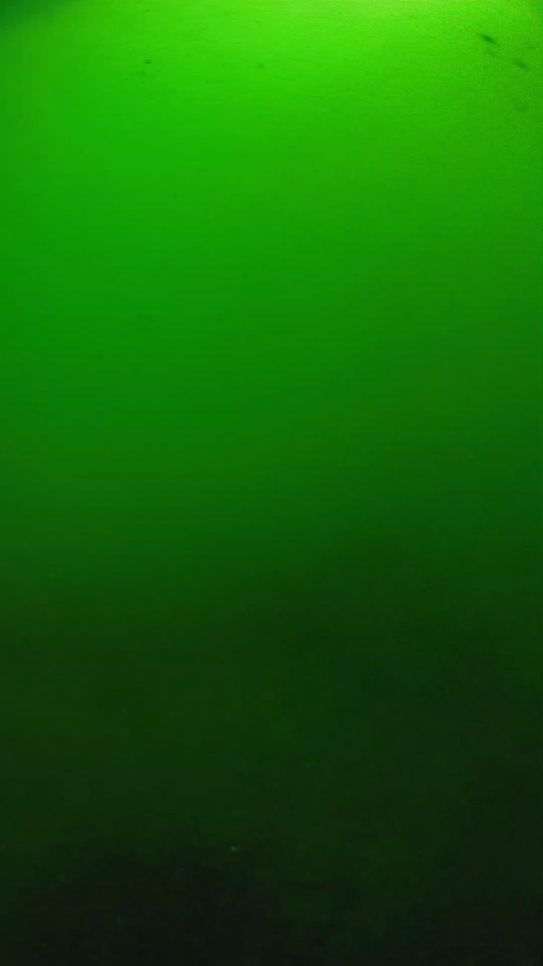 lander_ipcam_20250604100116.png
