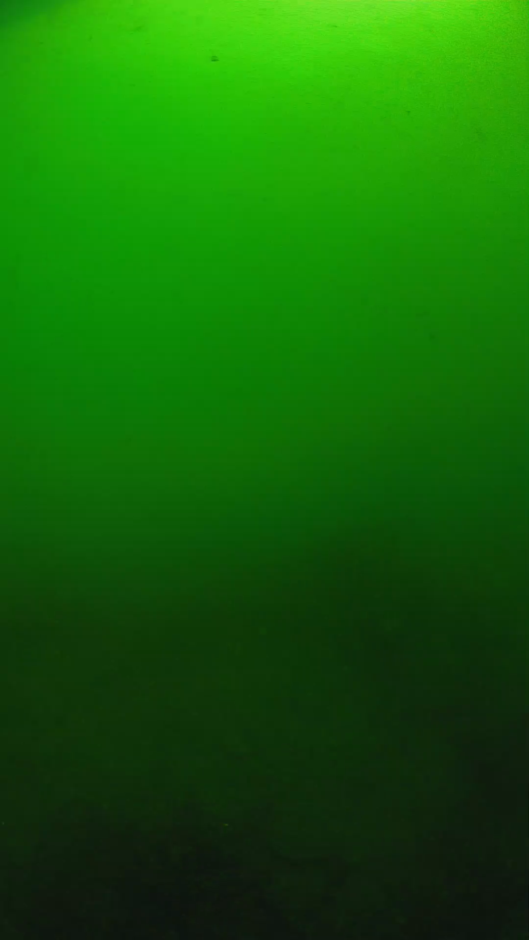 lander_ipcam_20250604100117.png