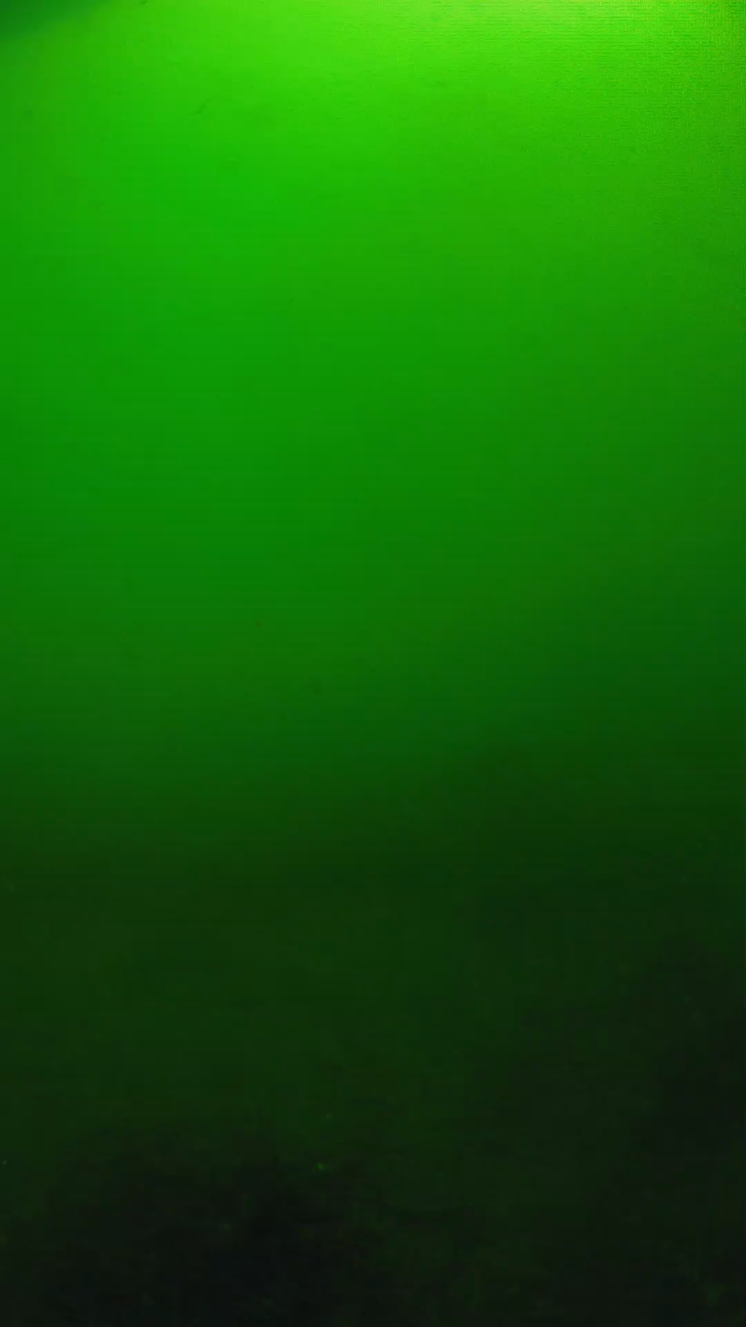 lander_ipcam_20250604100120.png