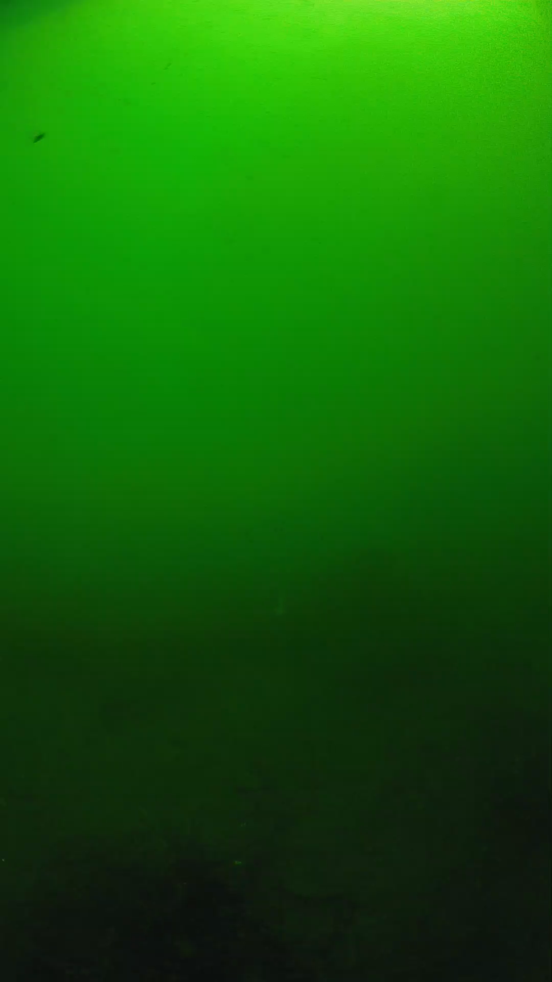 lander_ipcam_20250604100121.png