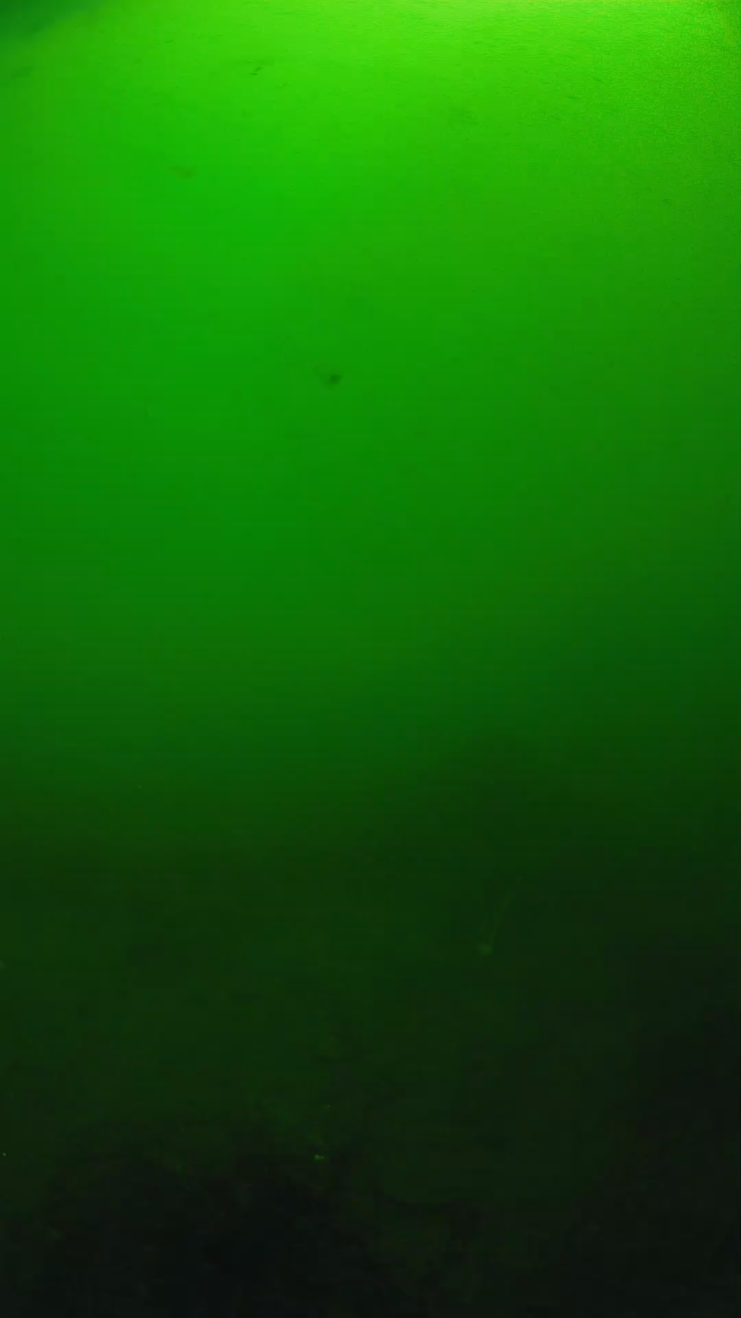 lander_ipcam_20250604100122.png