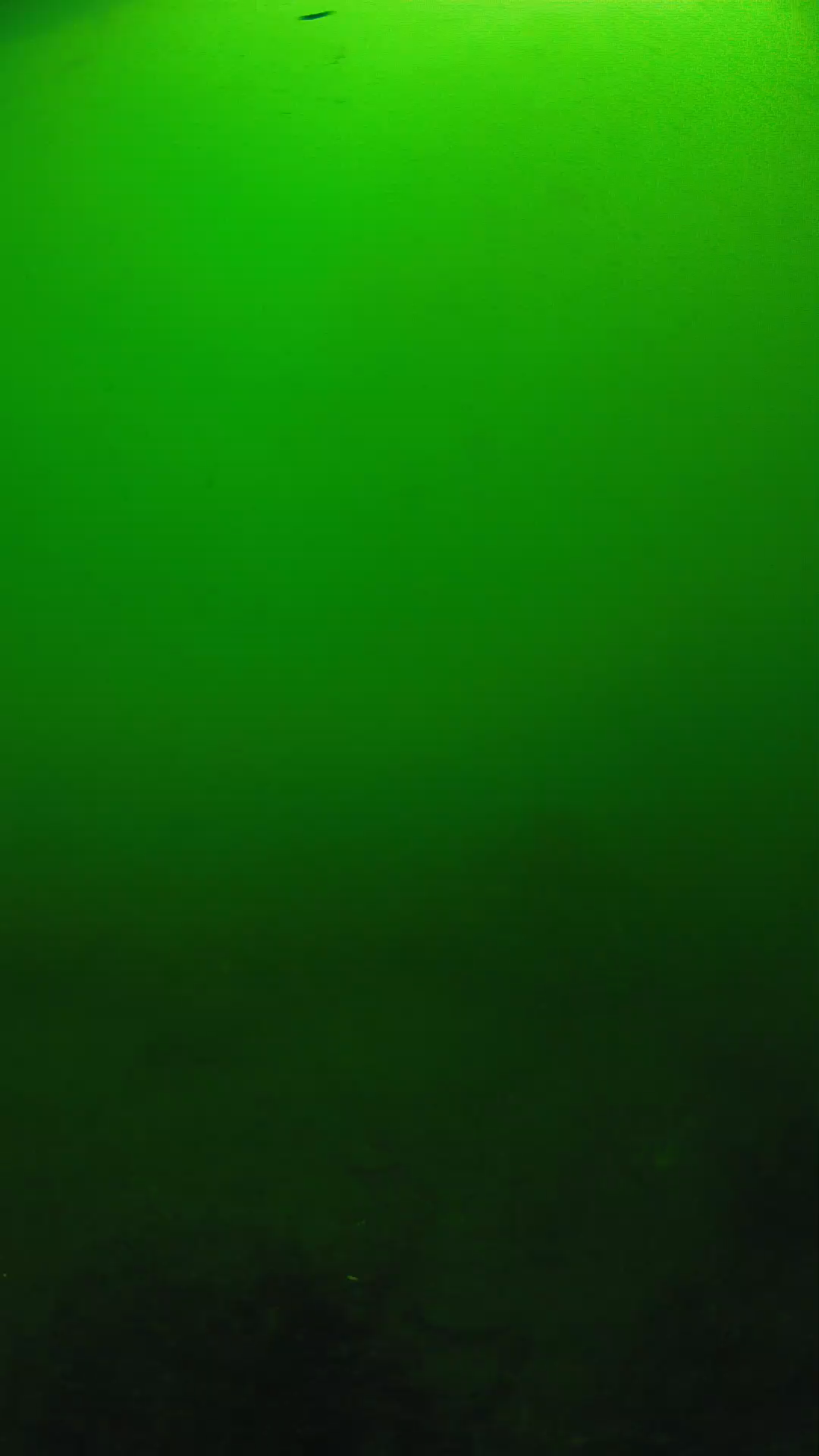 lander_ipcam_20250604100123.png