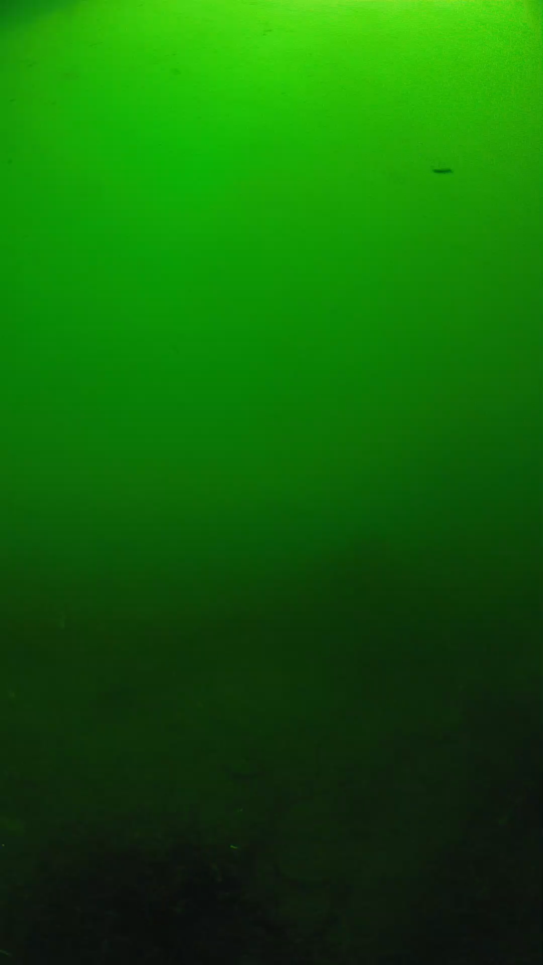 lander_ipcam_20250604100124.png