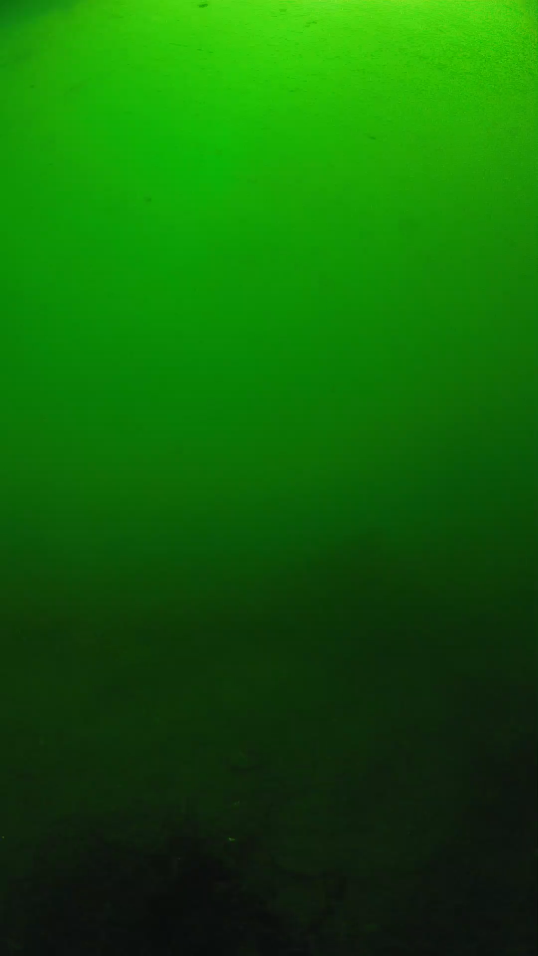 lander_ipcam_20250604100125.png