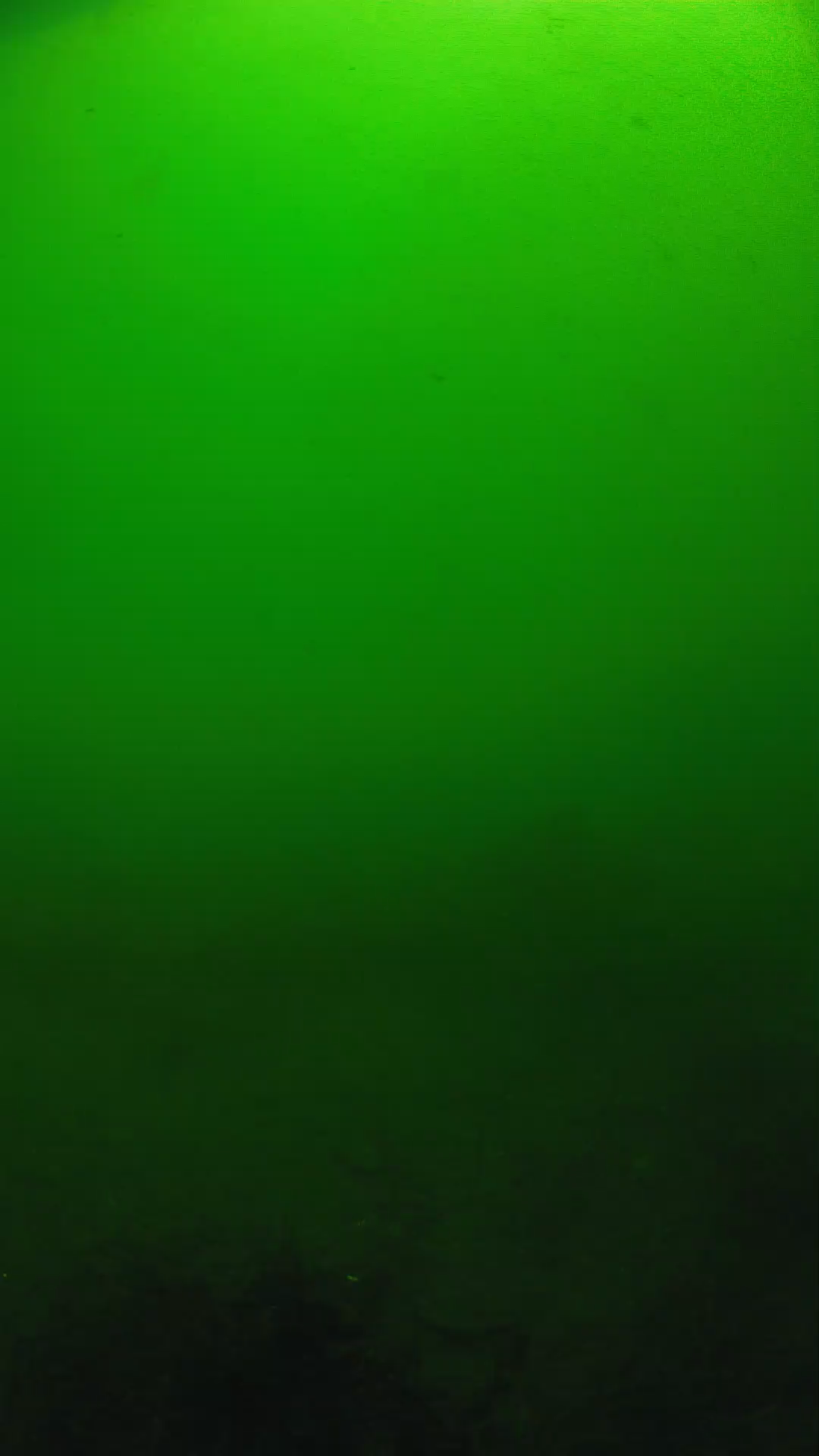 lander_ipcam_20250604100126.png