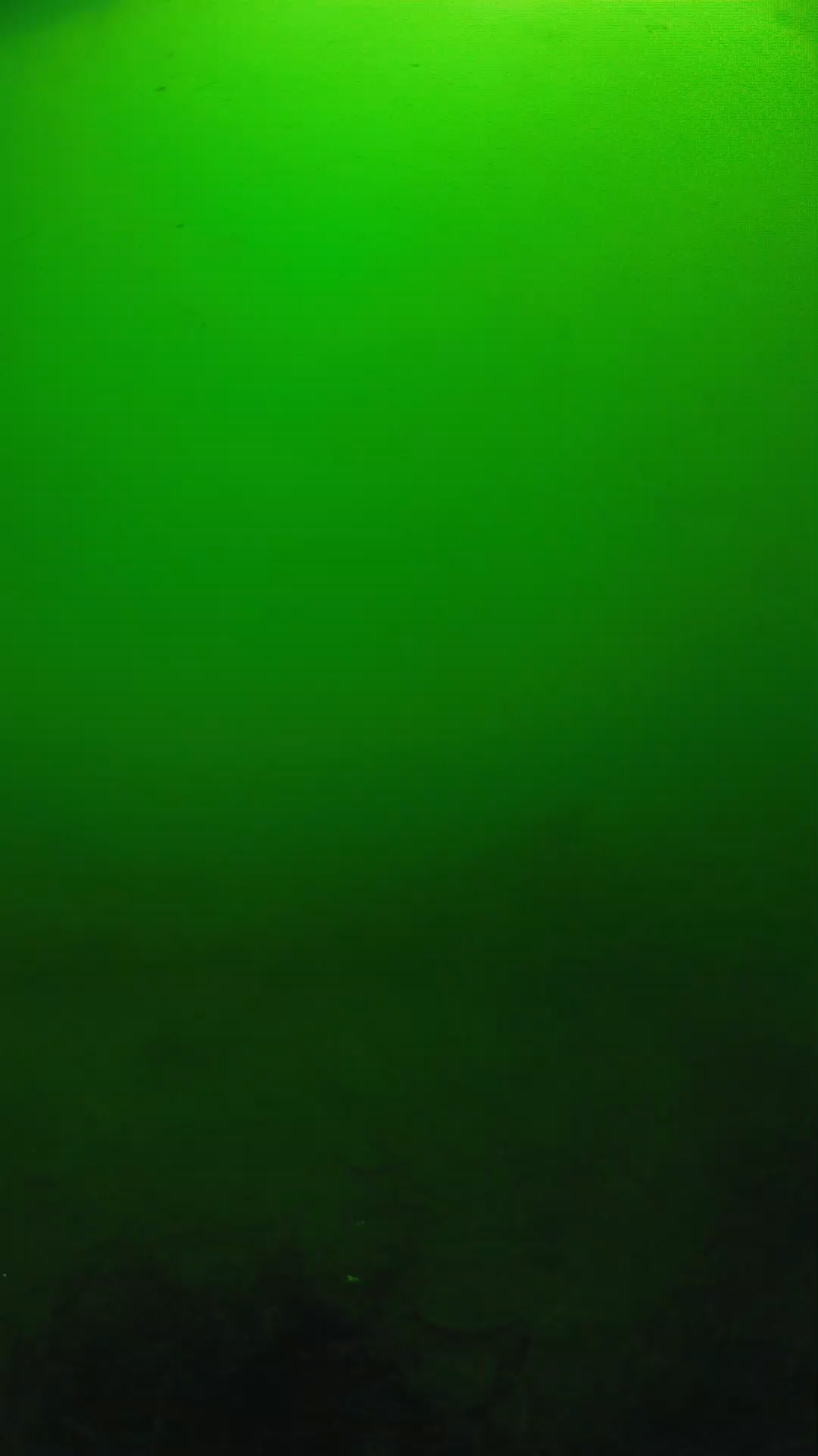 lander_ipcam_20250604100127.png