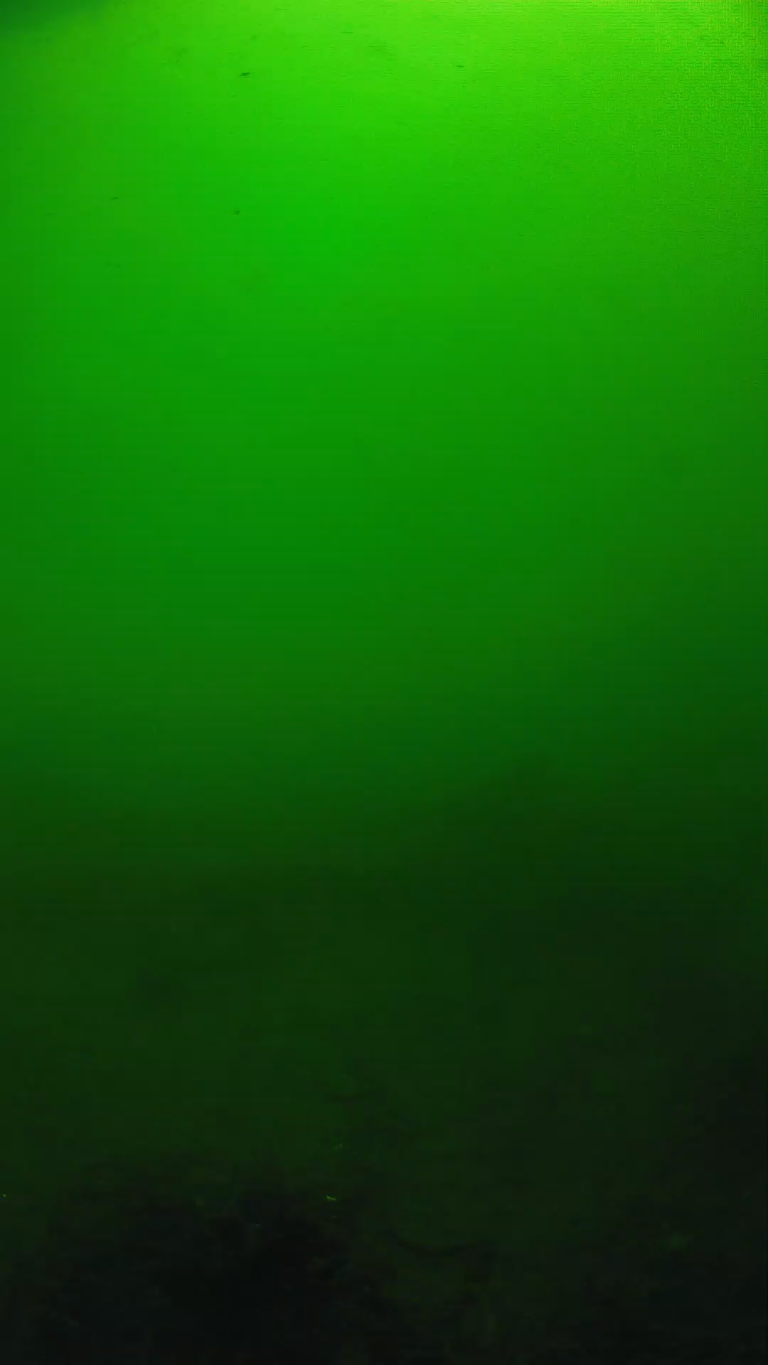 lander_ipcam_20250604100128.png