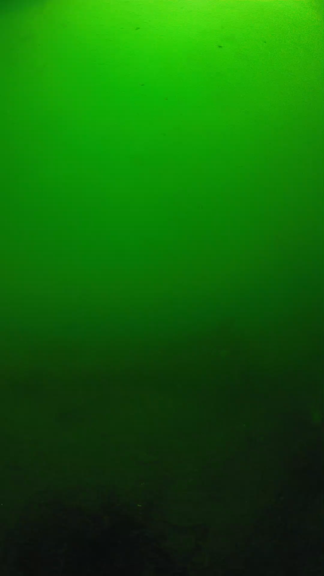 lander_ipcam_20250604100130.png