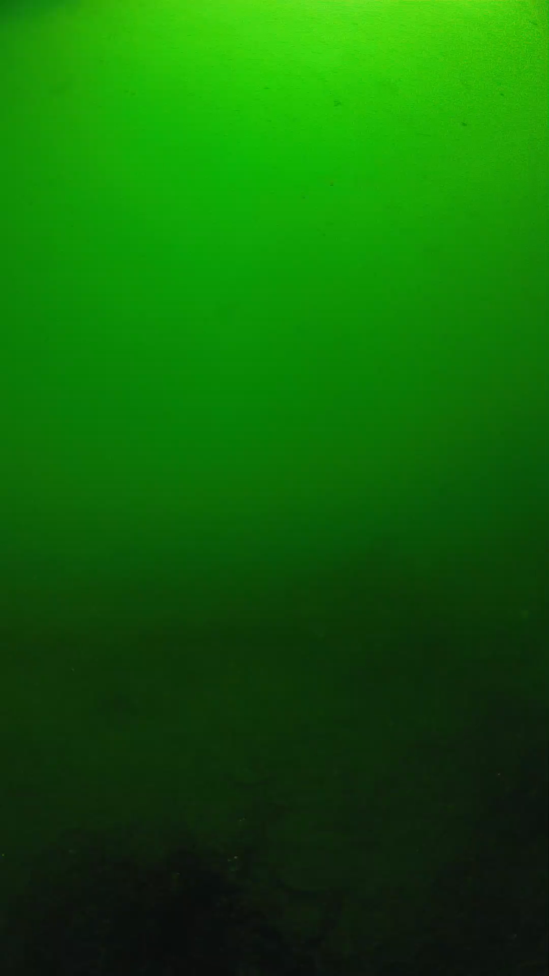 lander_ipcam_20250604100131.png