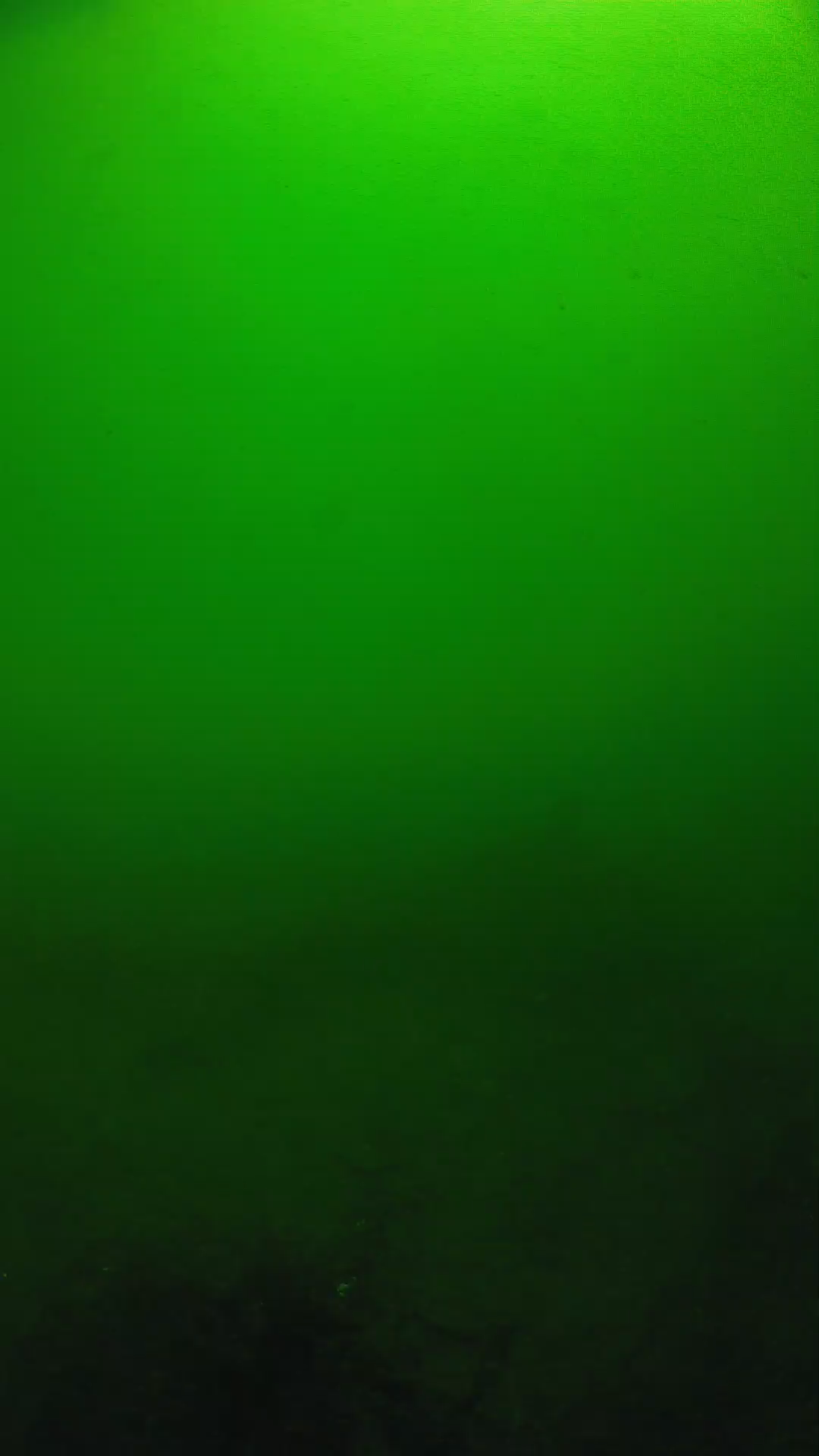 lander_ipcam_20250604100132.png