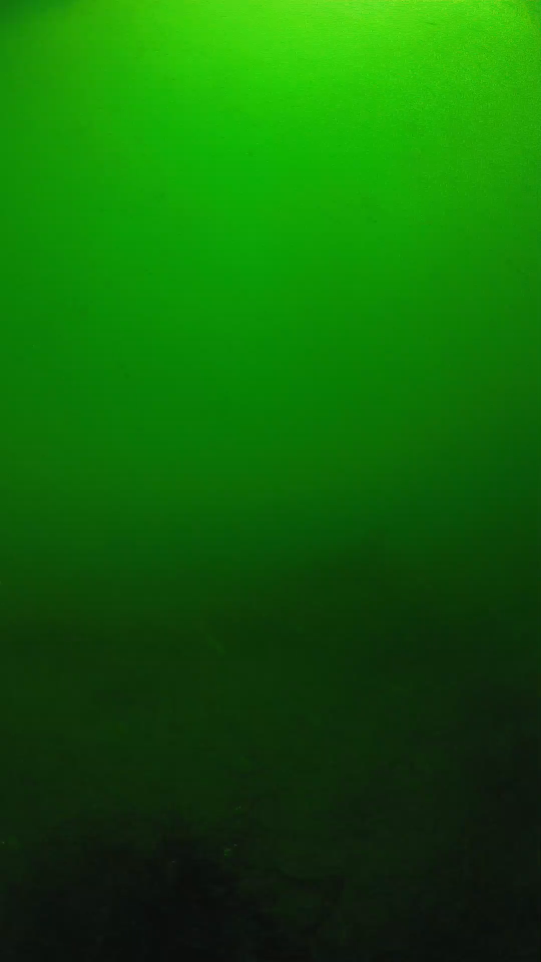 lander_ipcam_20250604100133.png
