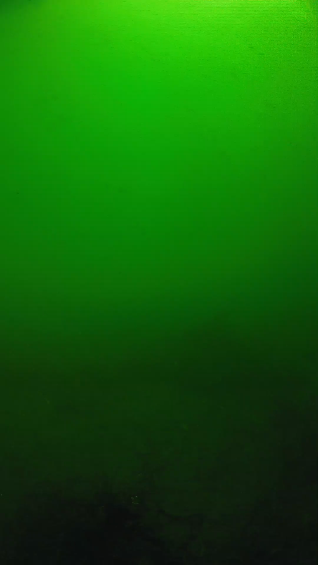 lander_ipcam_20250604100134.png
