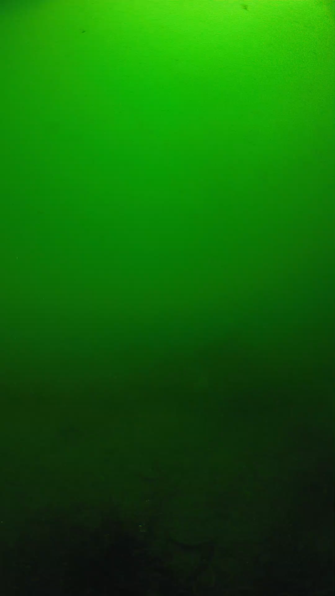 lander_ipcam_20250604100135.png