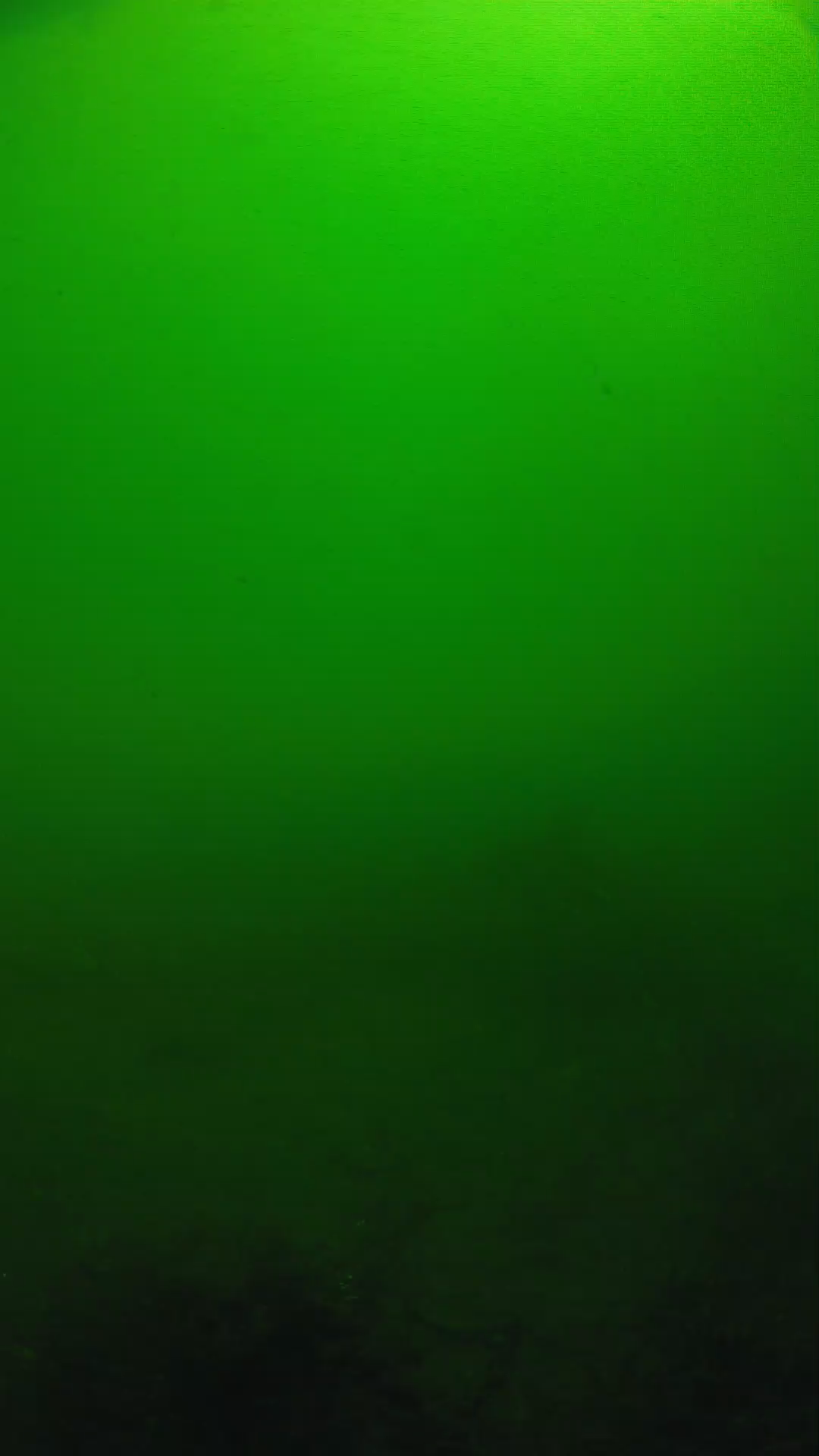 lander_ipcam_20250604100137.png
