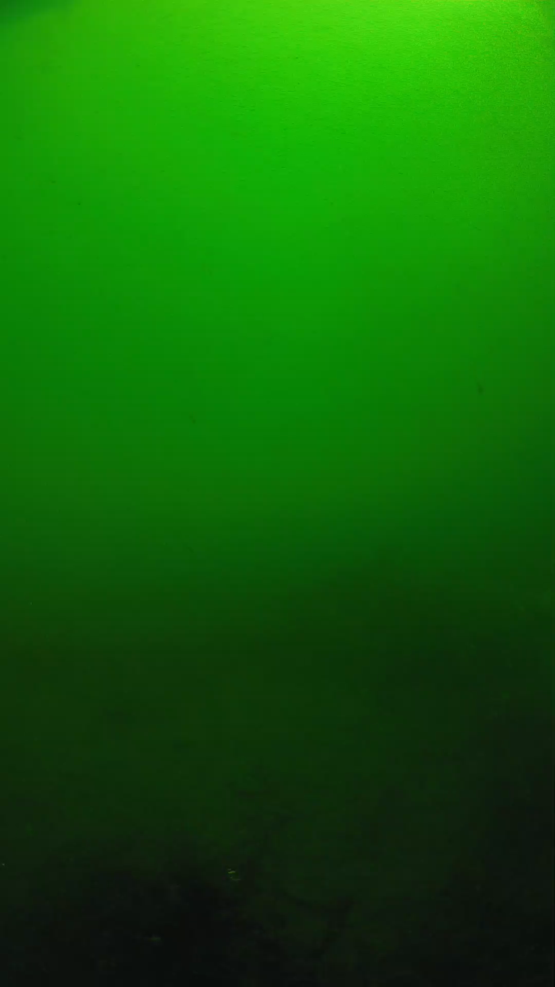lander_ipcam_20250604100138.png