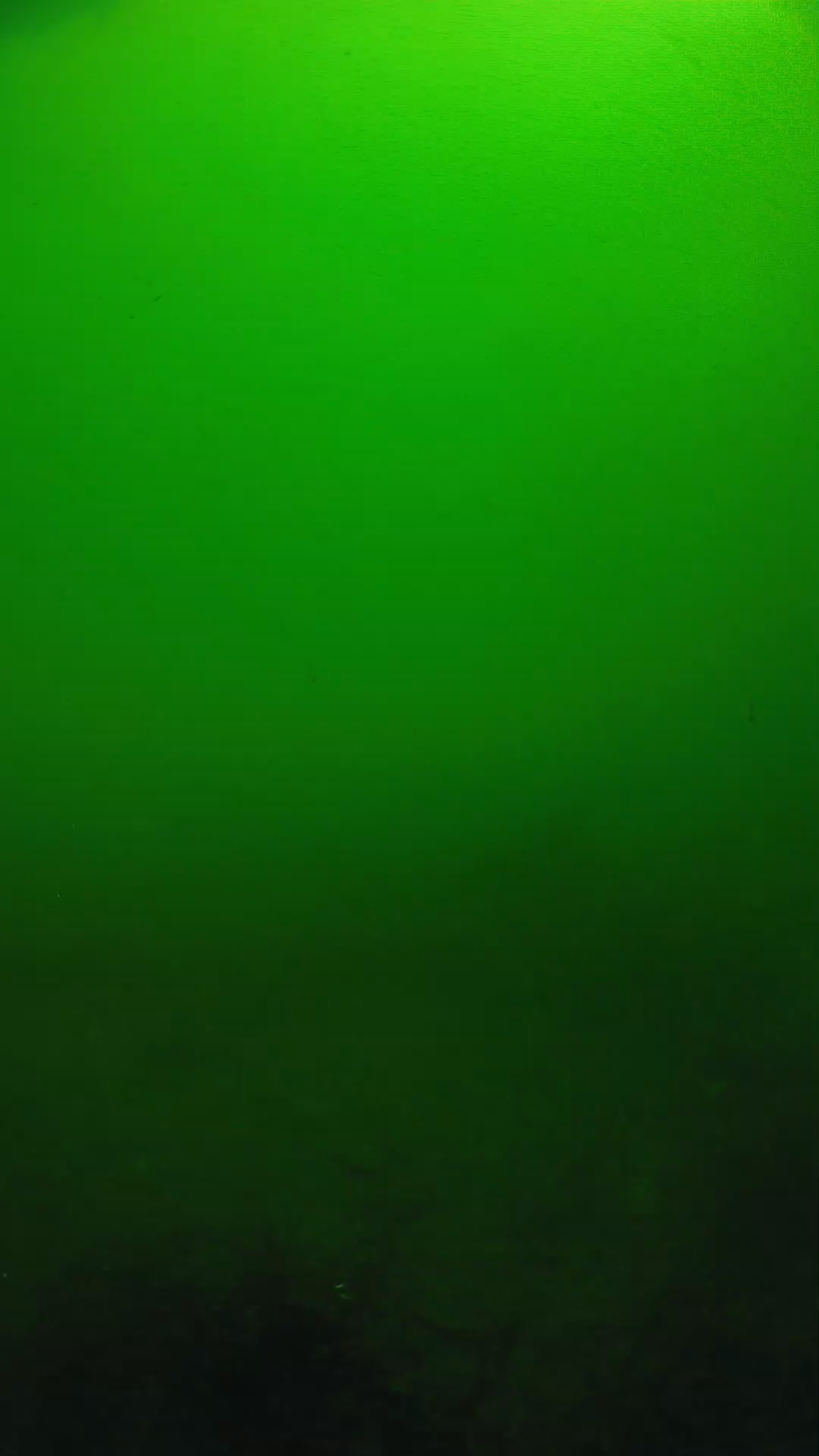 lander_ipcam_20250604100139.png
