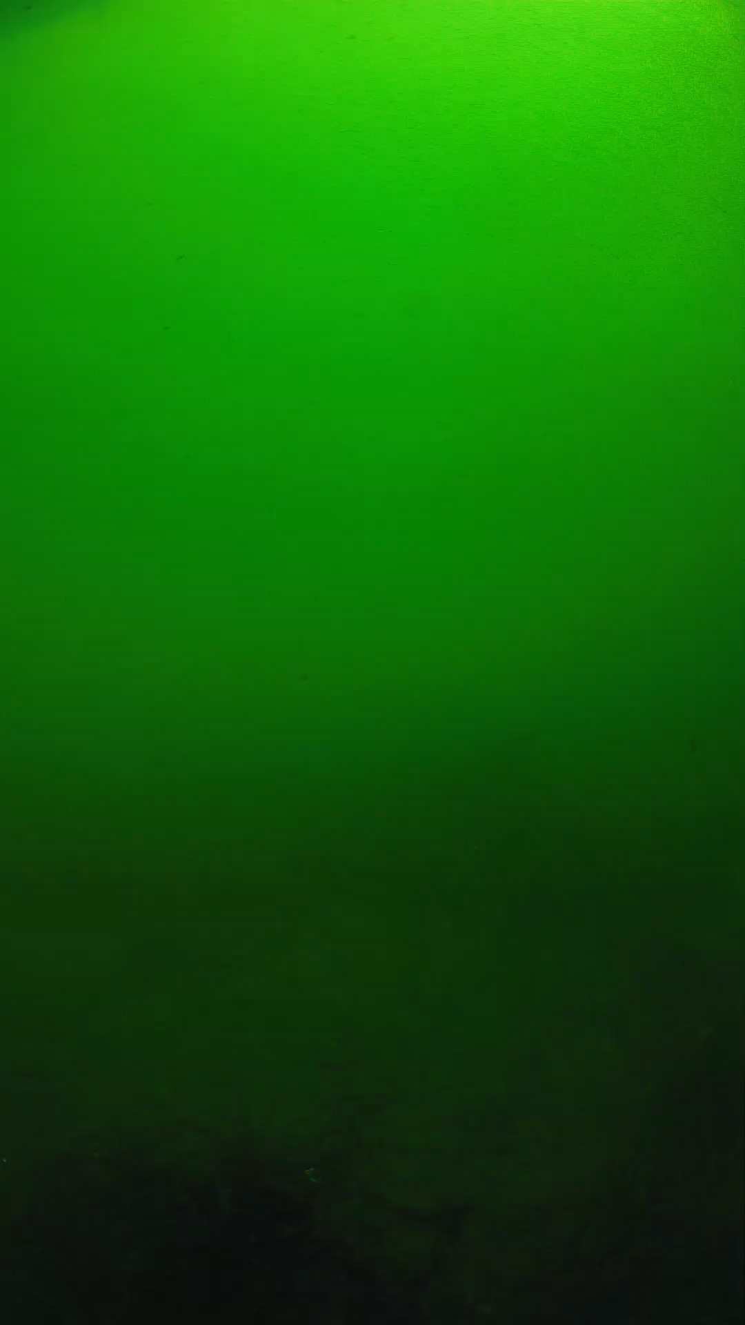 lander_ipcam_20250604100140.png