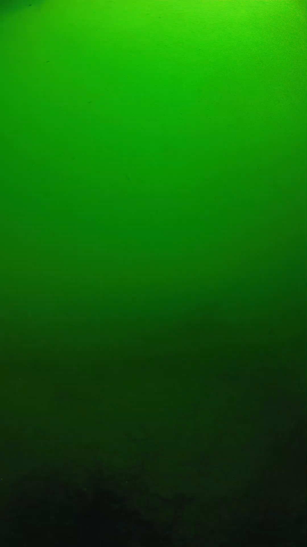 lander_ipcam_20250604100141.png