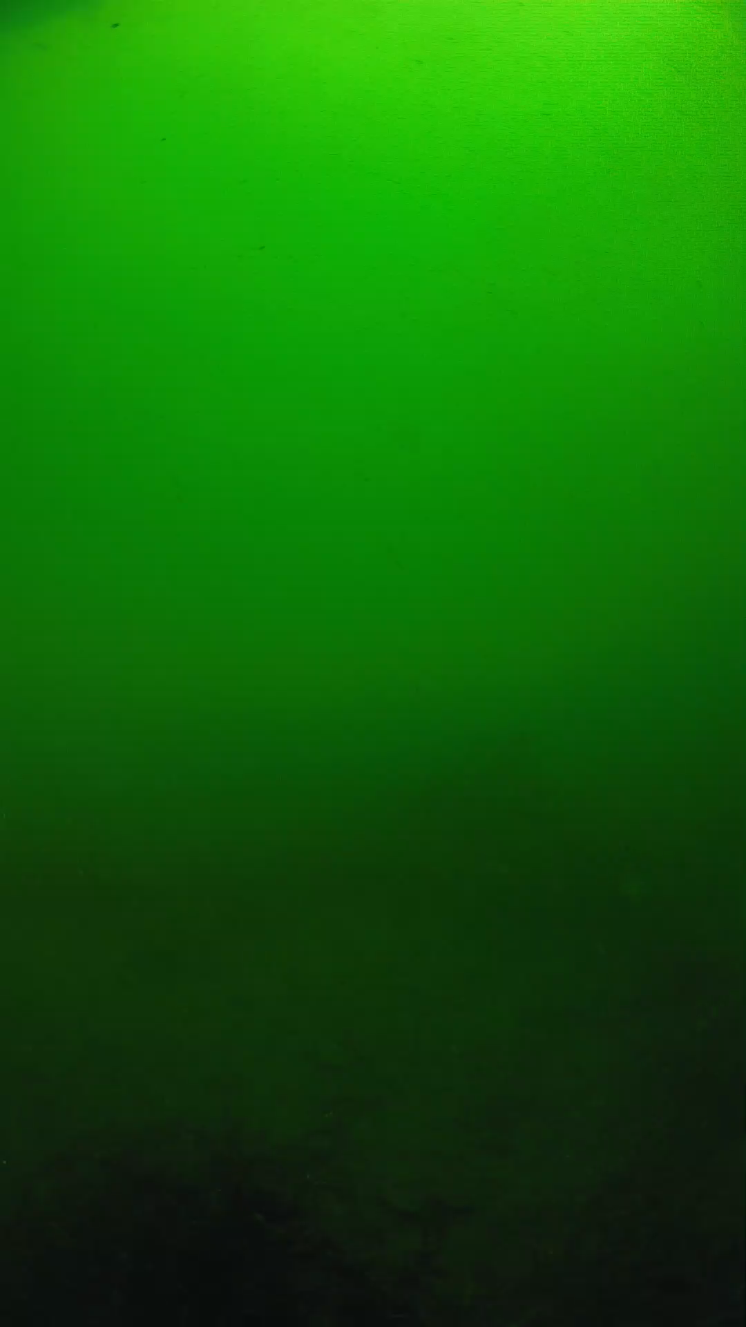 lander_ipcam_20250604100142.png