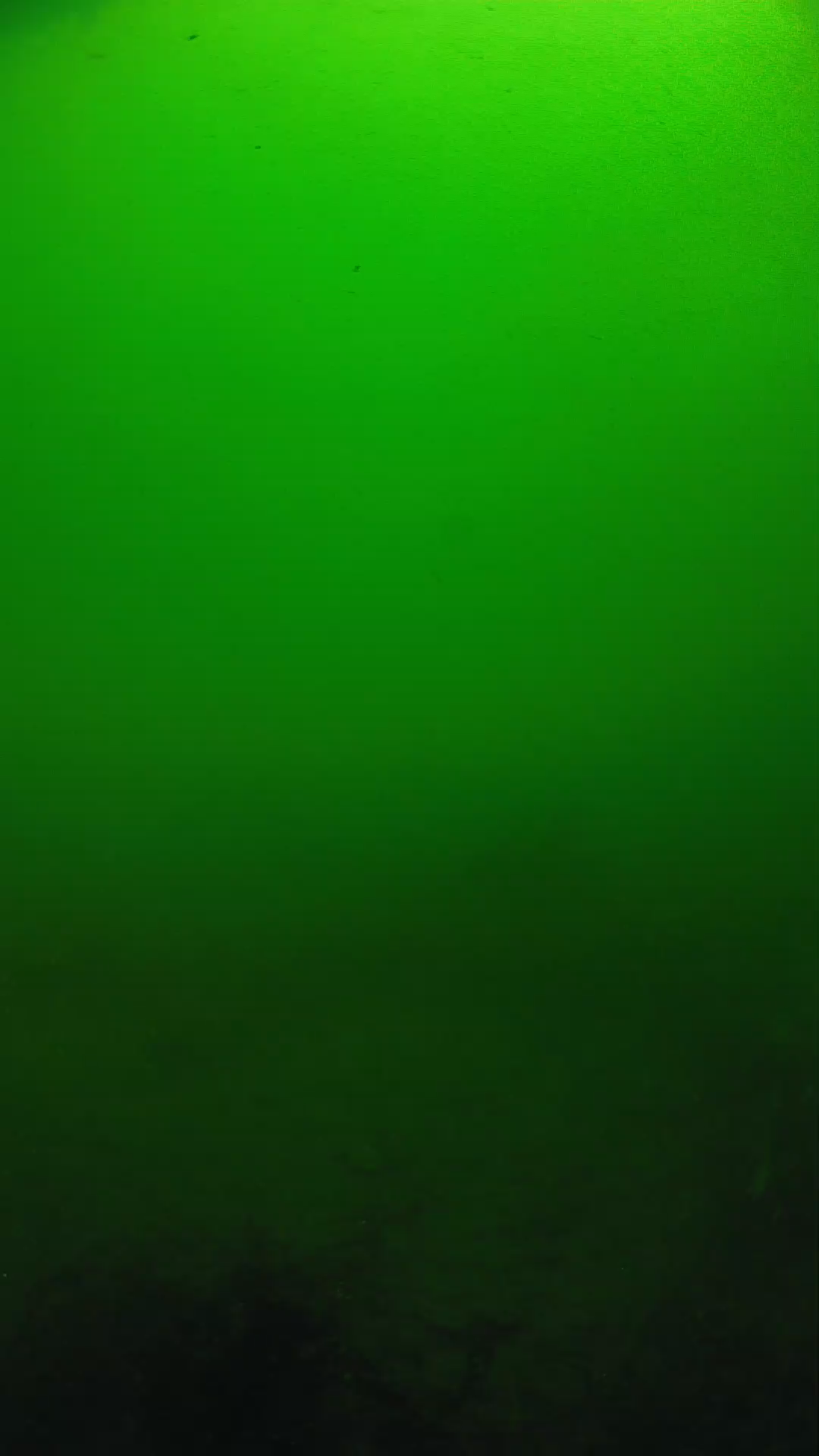 lander_ipcam_20250604100143.png