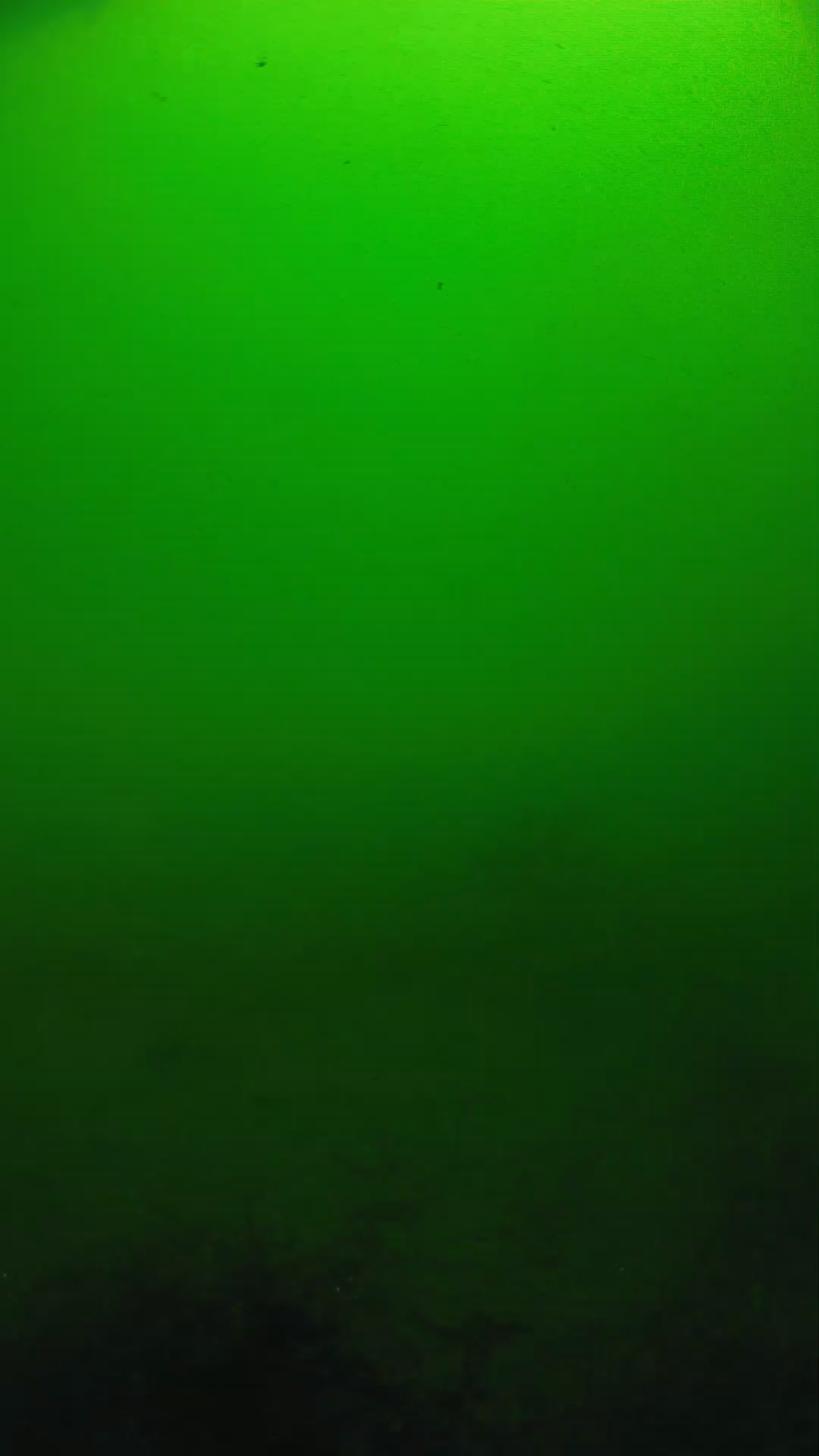 lander_ipcam_20250604100144.png