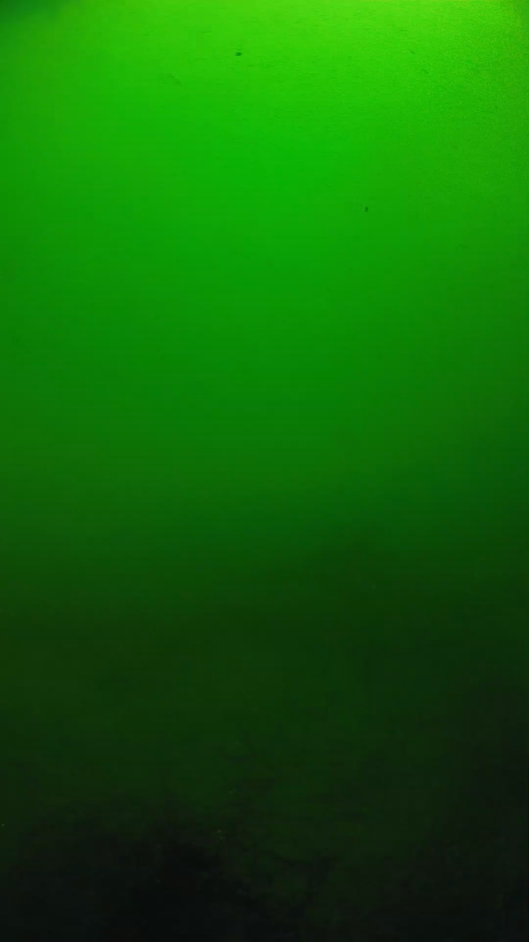 lander_ipcam_20250604100145.png