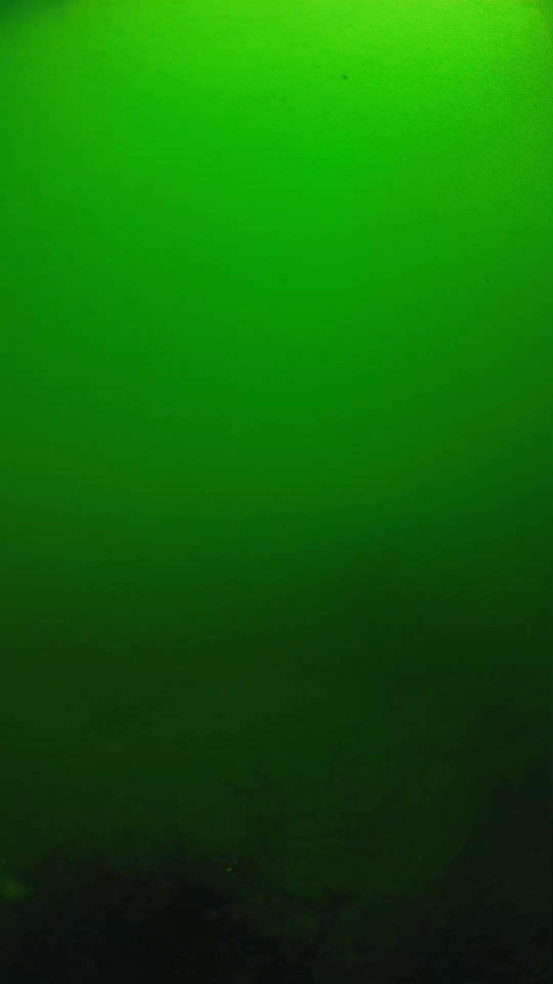 lander_ipcam_20250604100146.png