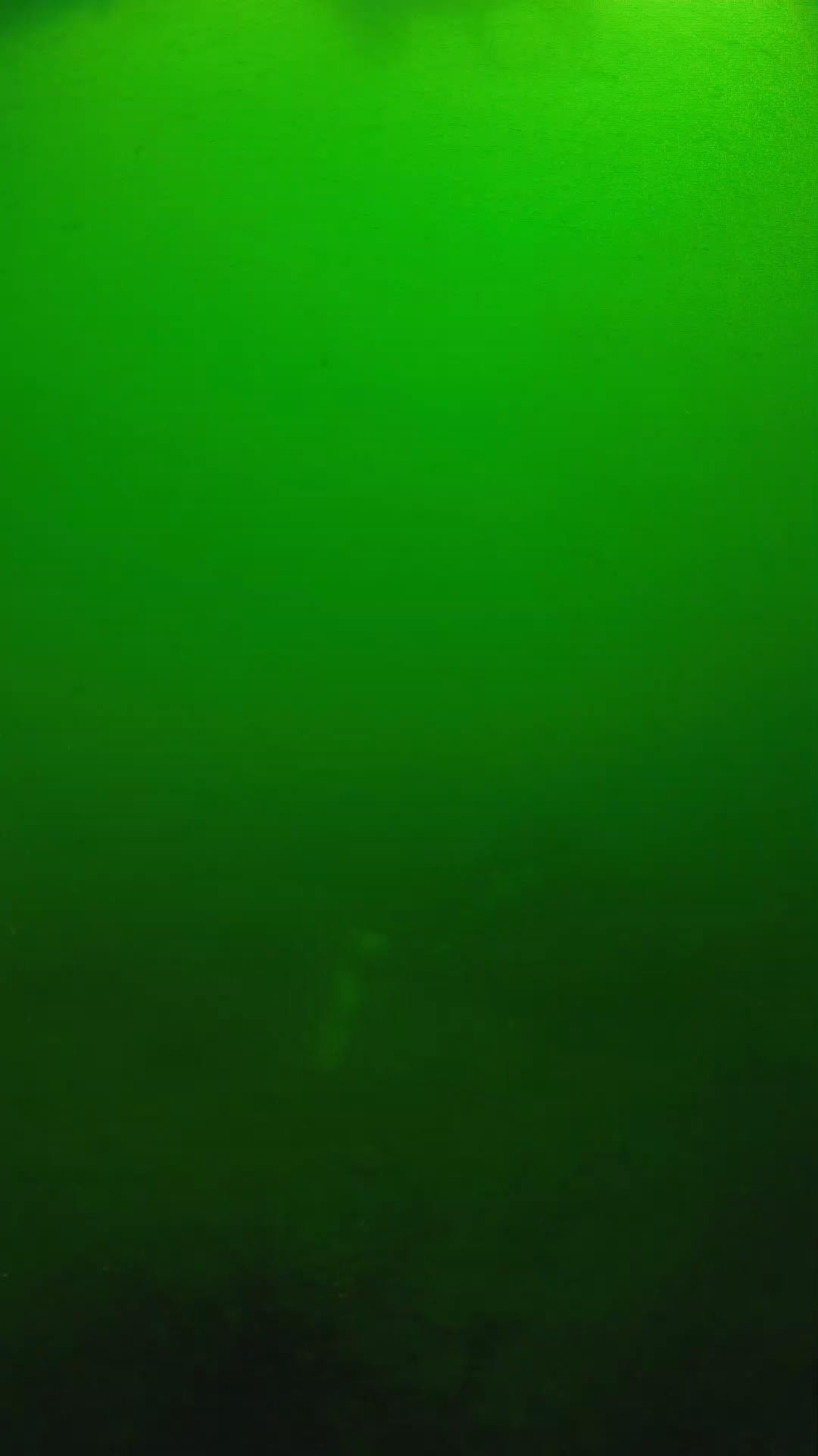 lander_ipcam_20250604100153.png