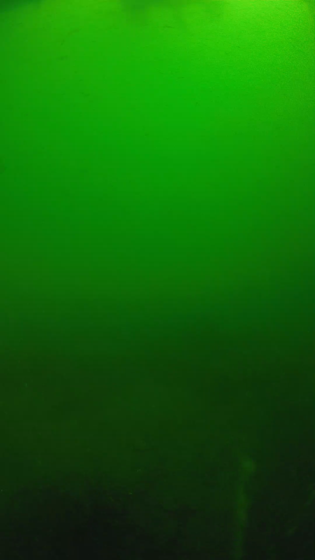 lander_ipcam_20250604100154.png