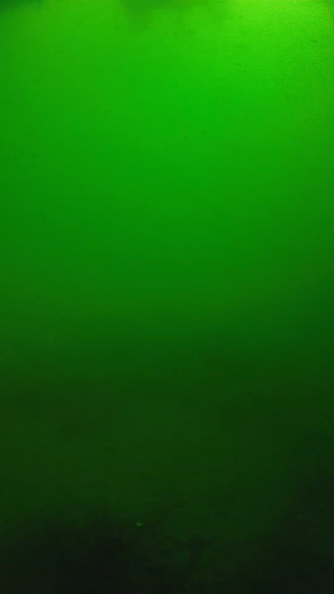 lander_ipcam_20250604100155.png