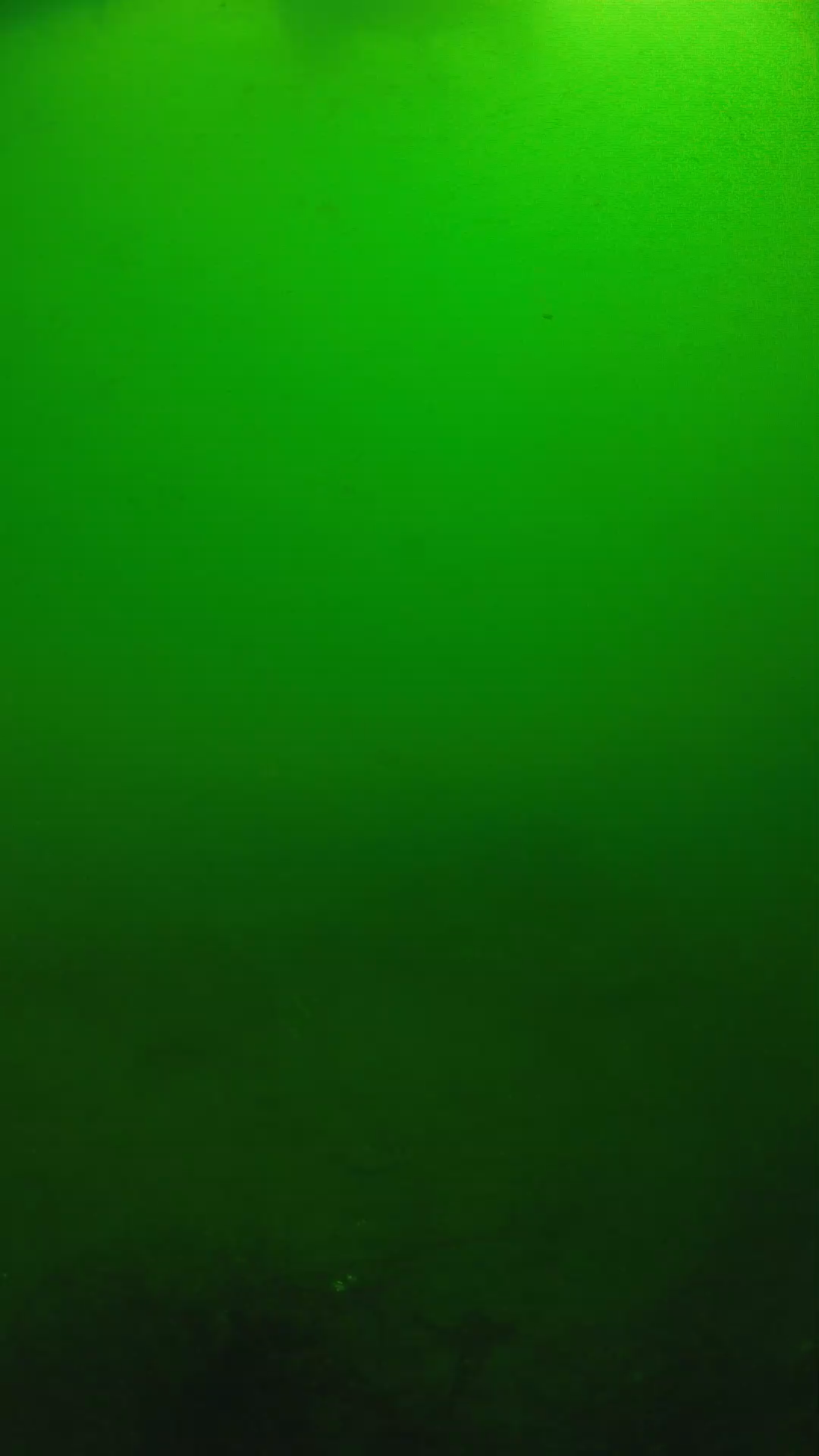 lander_ipcam_20250604100156.png