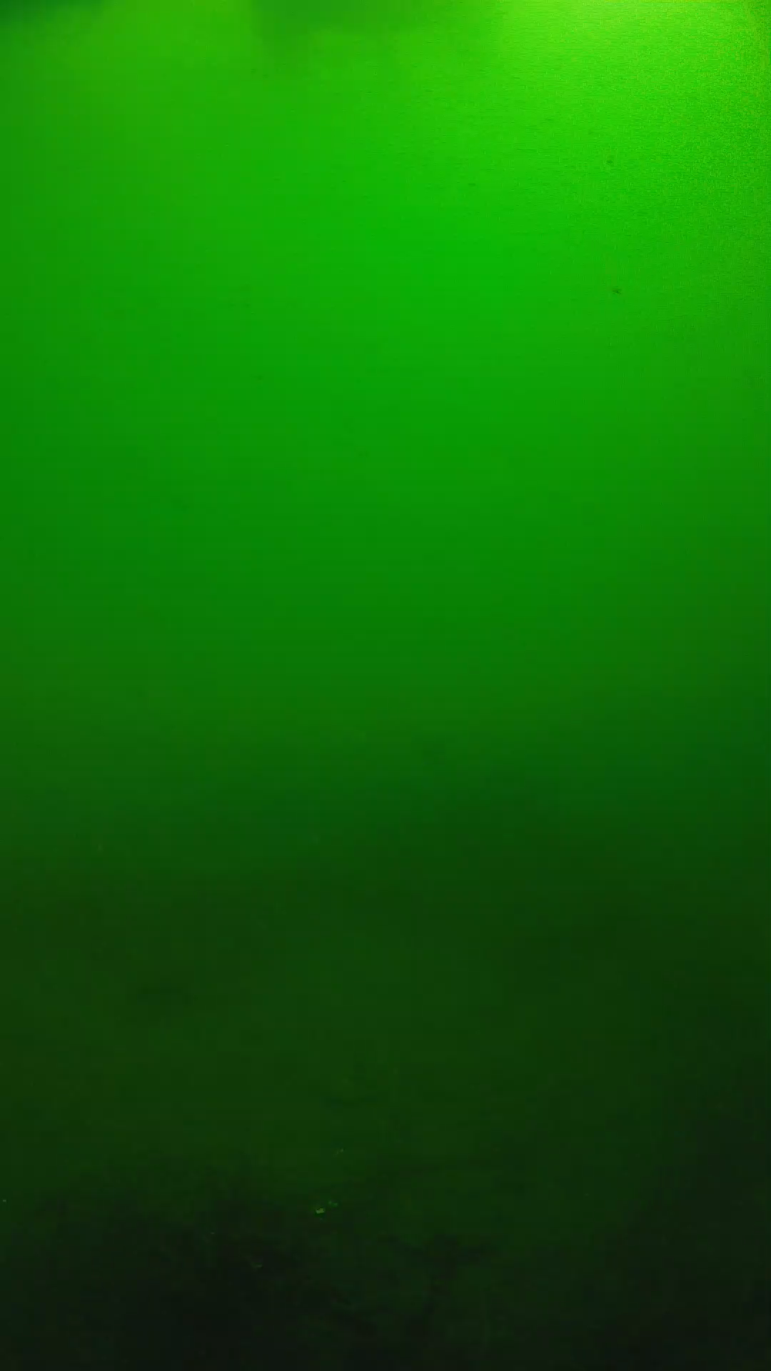lander_ipcam_20250604100157.png