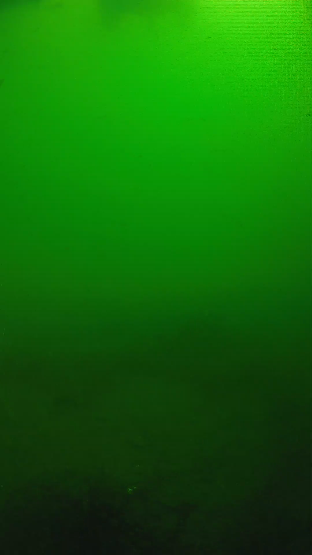 lander_ipcam_20250604100158.png