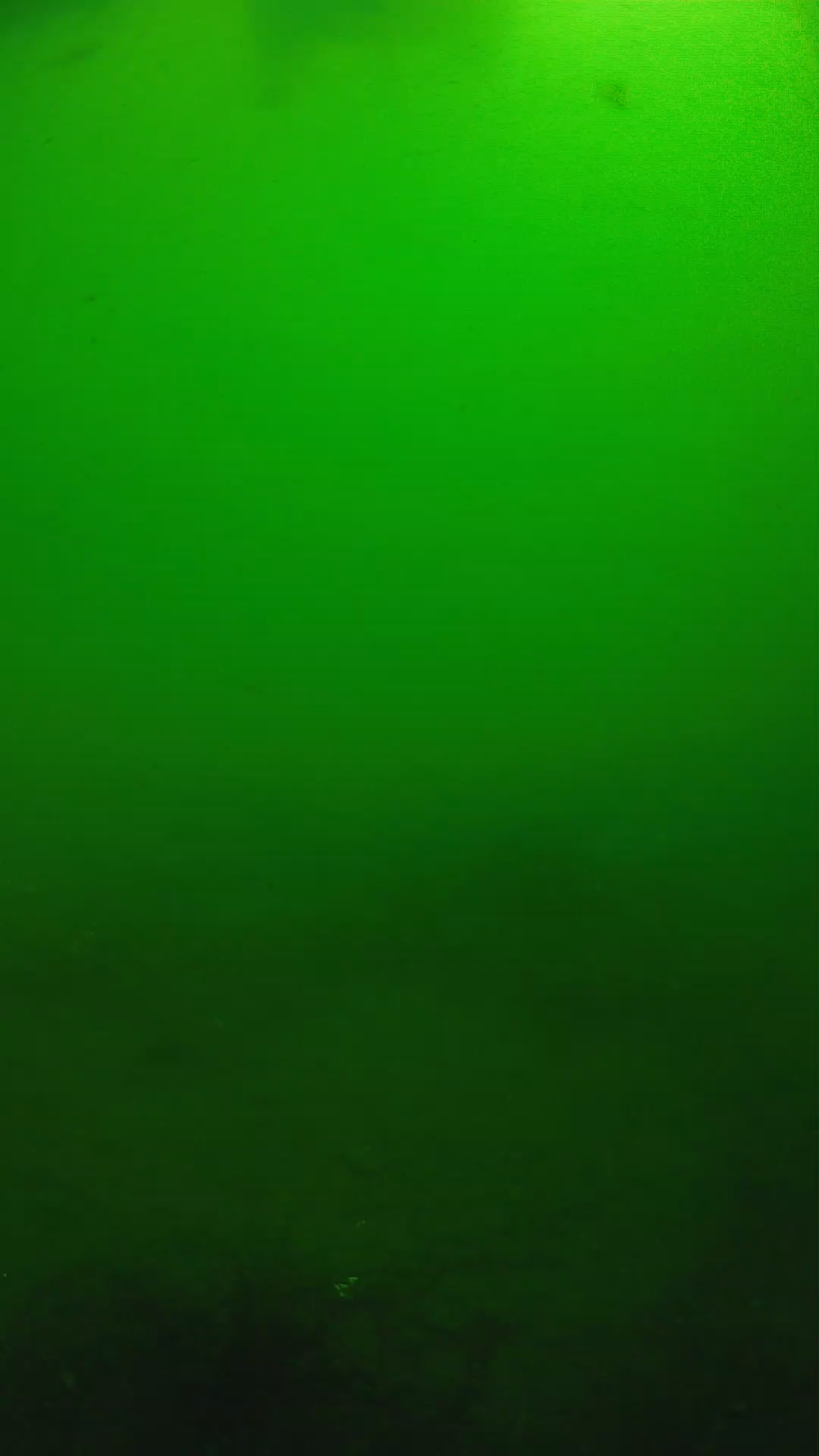 lander_ipcam_20250604100200.png