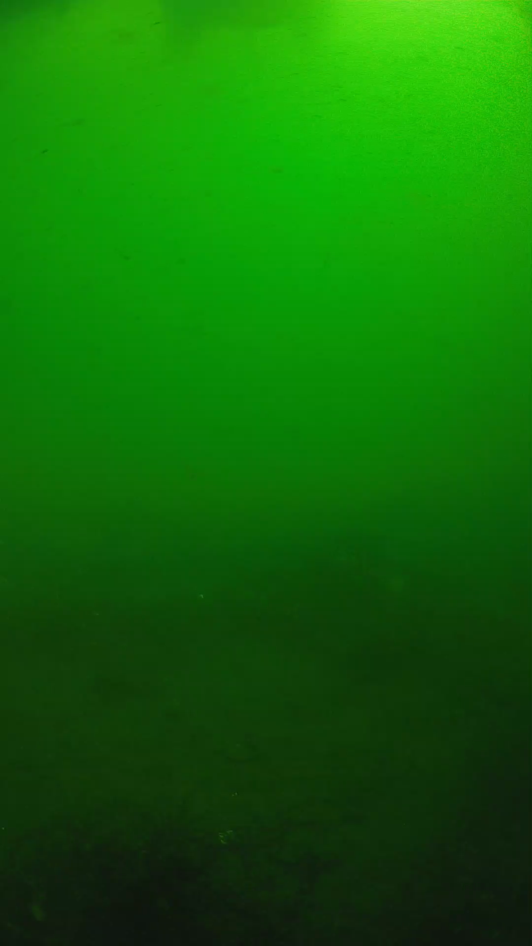 lander_ipcam_20250604100201.png