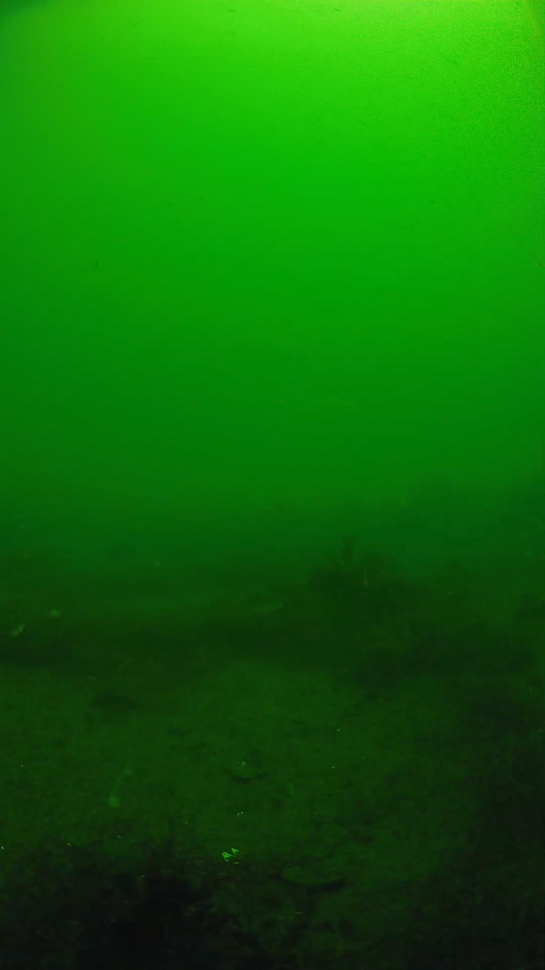 lander_ipcam_20250604101603.png