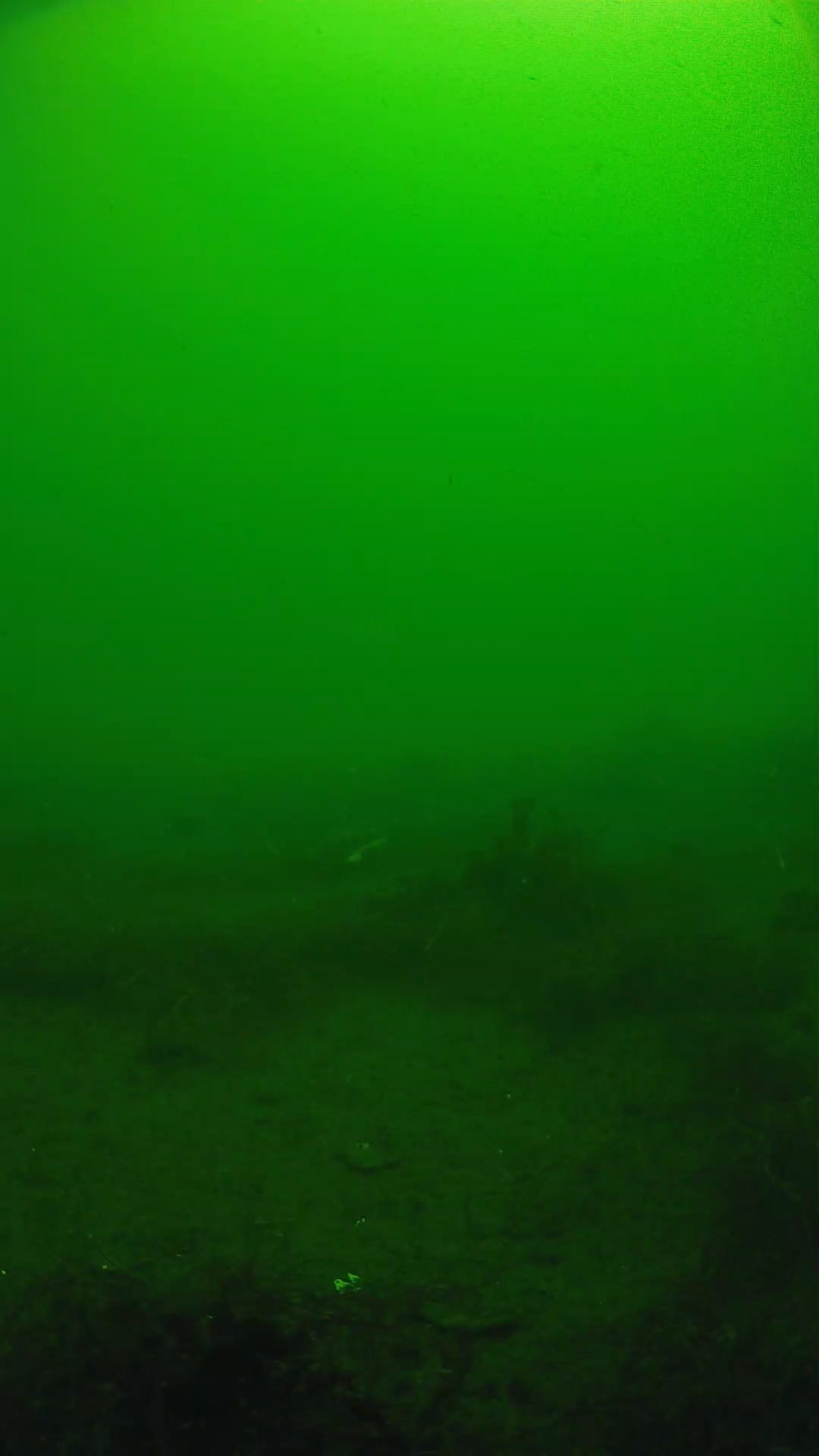 lander_ipcam_20250604101615.png