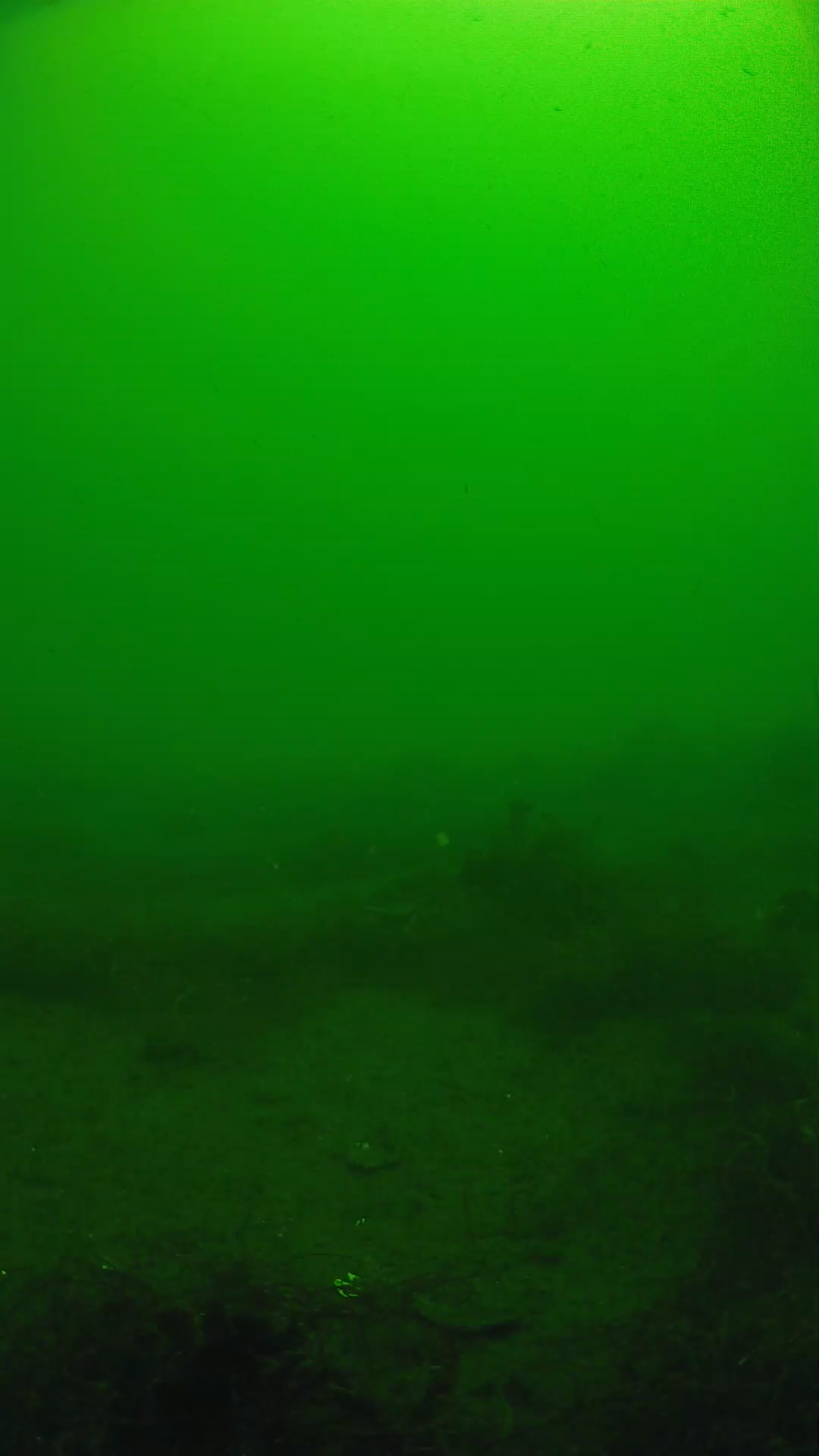lander_ipcam_20250604101617.png