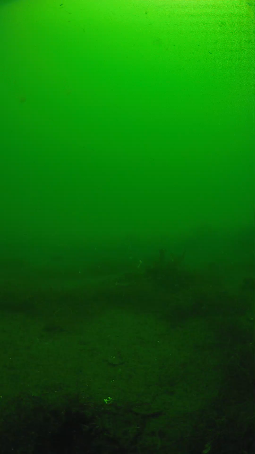 lander_ipcam_20250604101621.png