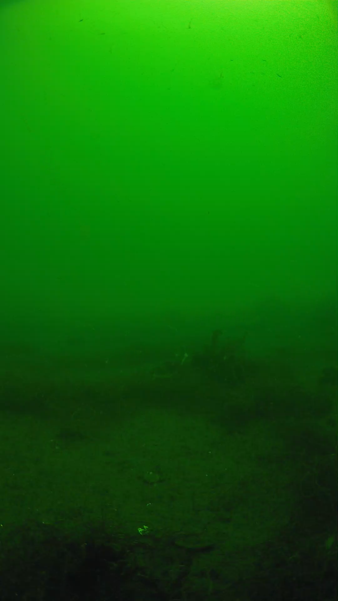 lander_ipcam_20250604101622.png