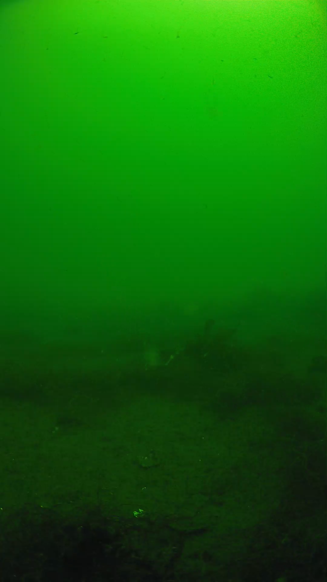 lander_ipcam_20250604101623.png