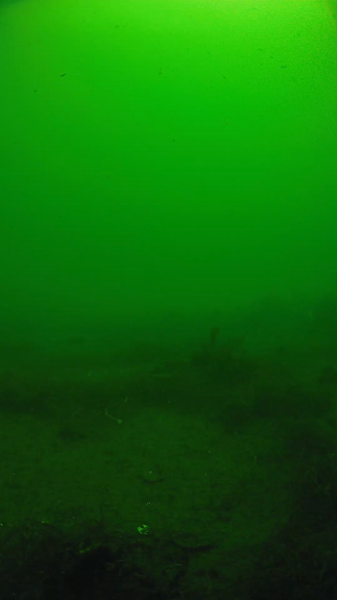 lander_ipcam_20250604101627.png