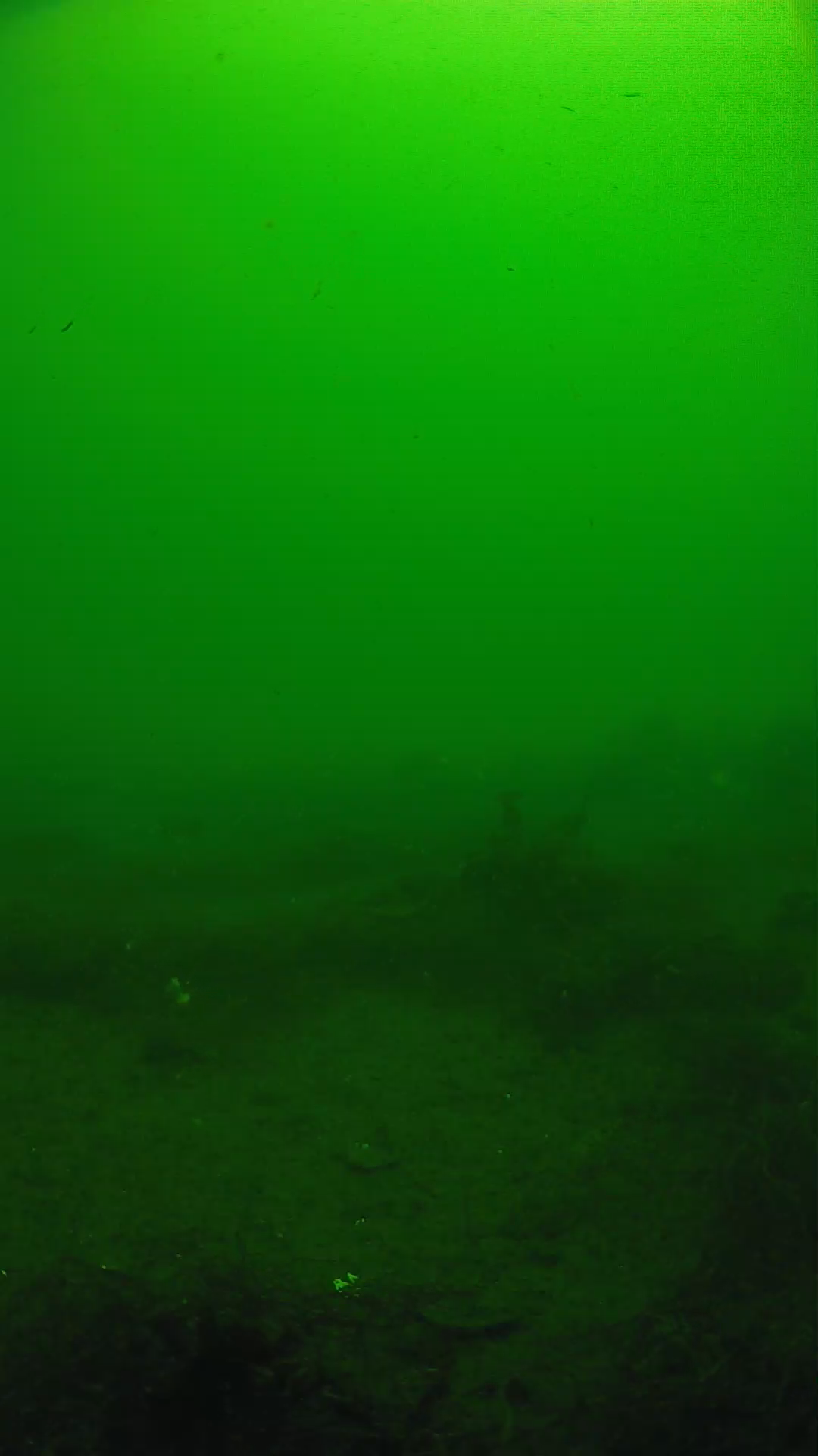 lander_ipcam_20250604101631.png
