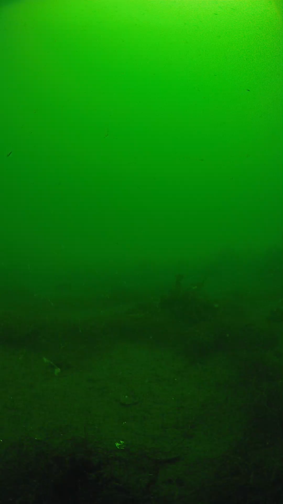 lander_ipcam_20250604101635.png