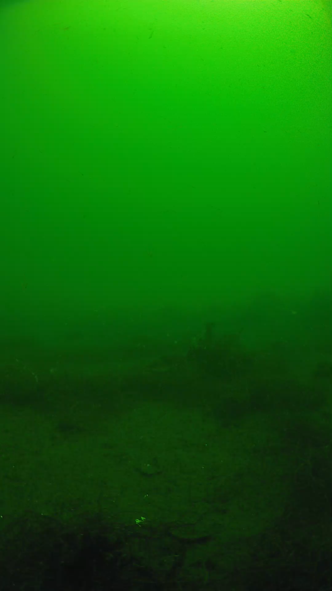 lander_ipcam_20250604101642.png