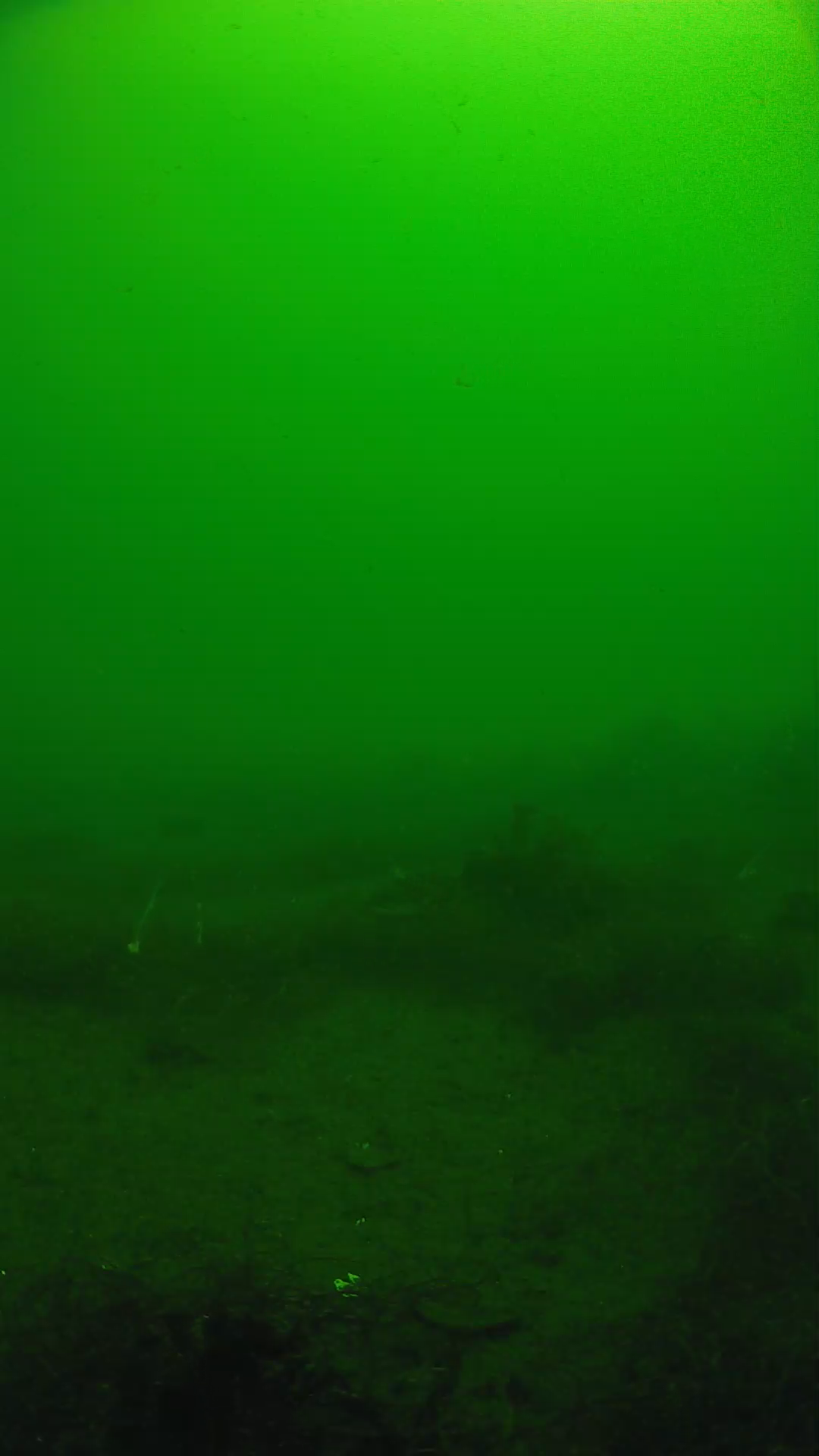 lander_ipcam_20250604101659.png