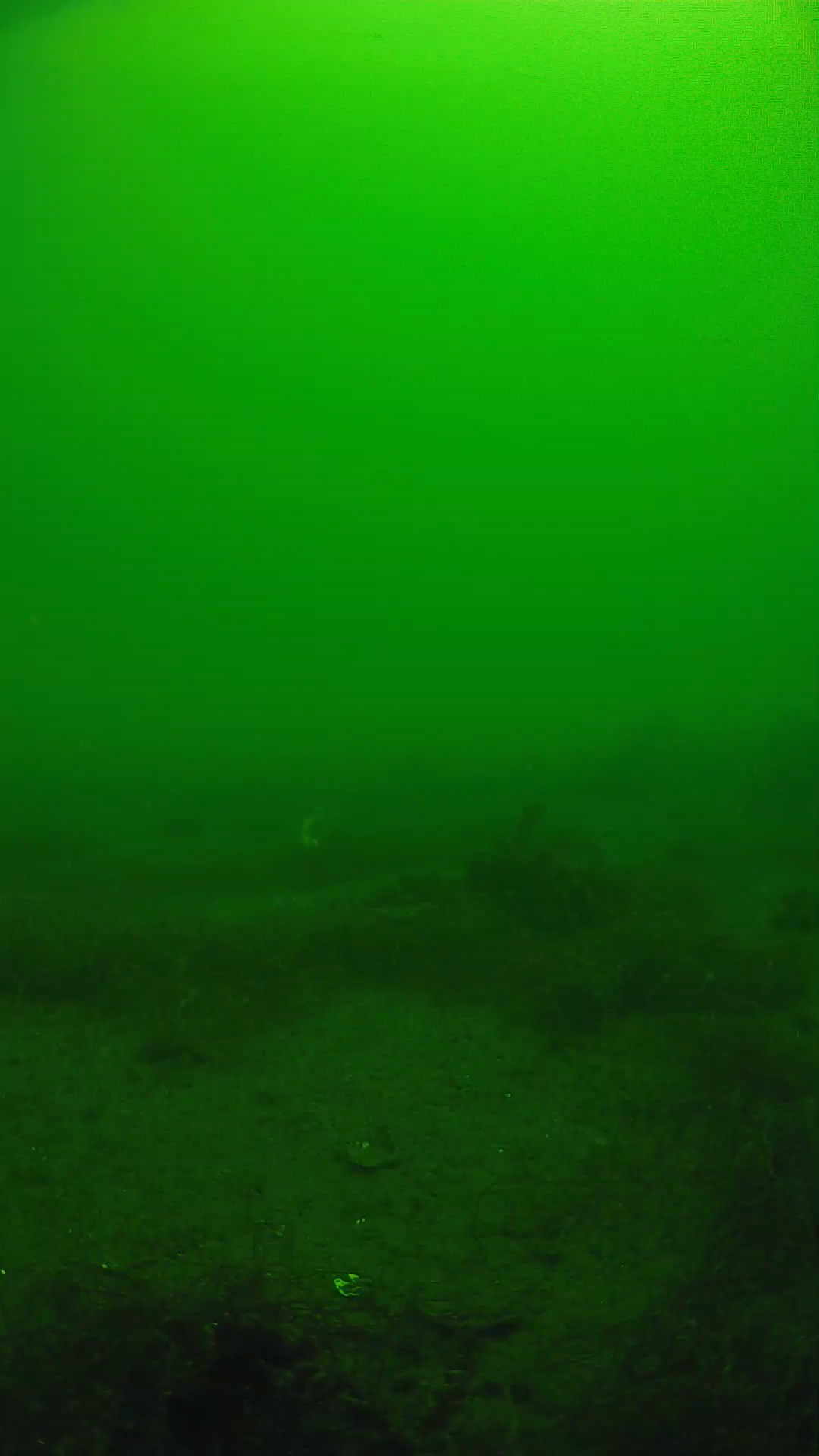 lander_ipcam_20250604103109.png